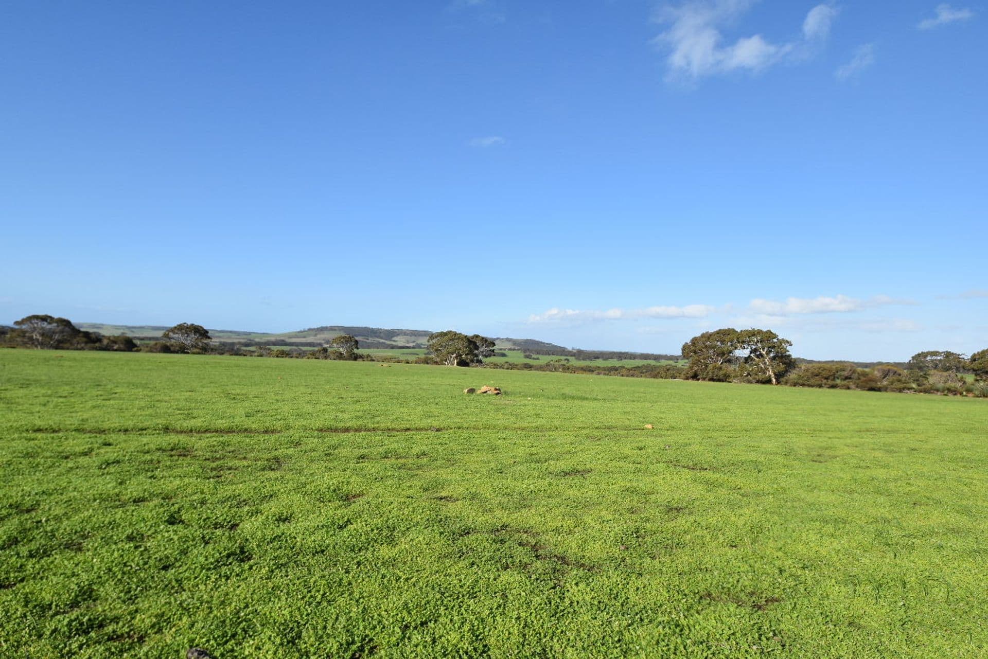 Lot 1 North Coast Road, Menzies, SA, 5223, Menzies - Thumbnail 5