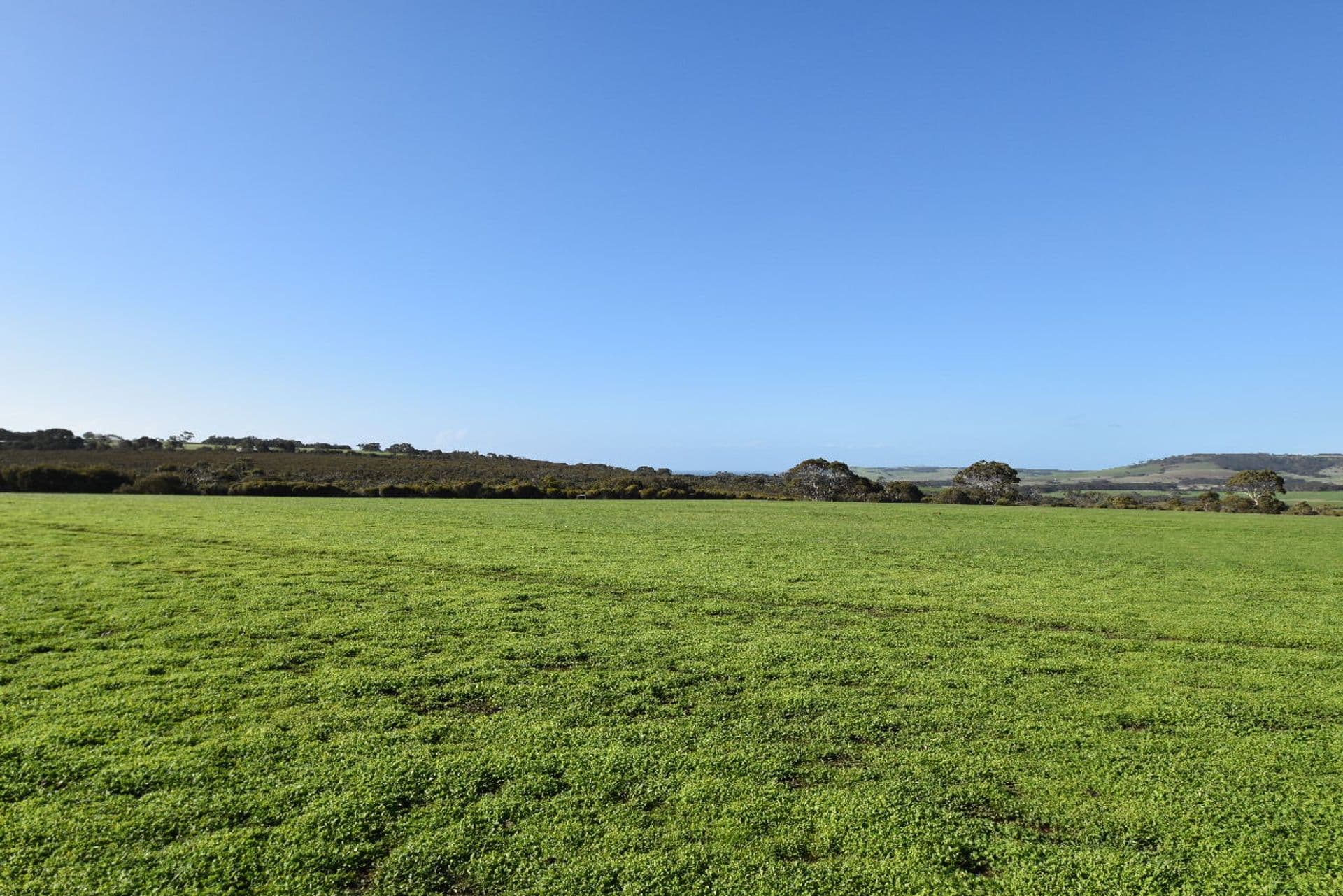 Lot 1 North Coast Road, Menzies, SA, 5223, Menzies - Thumbnail 2