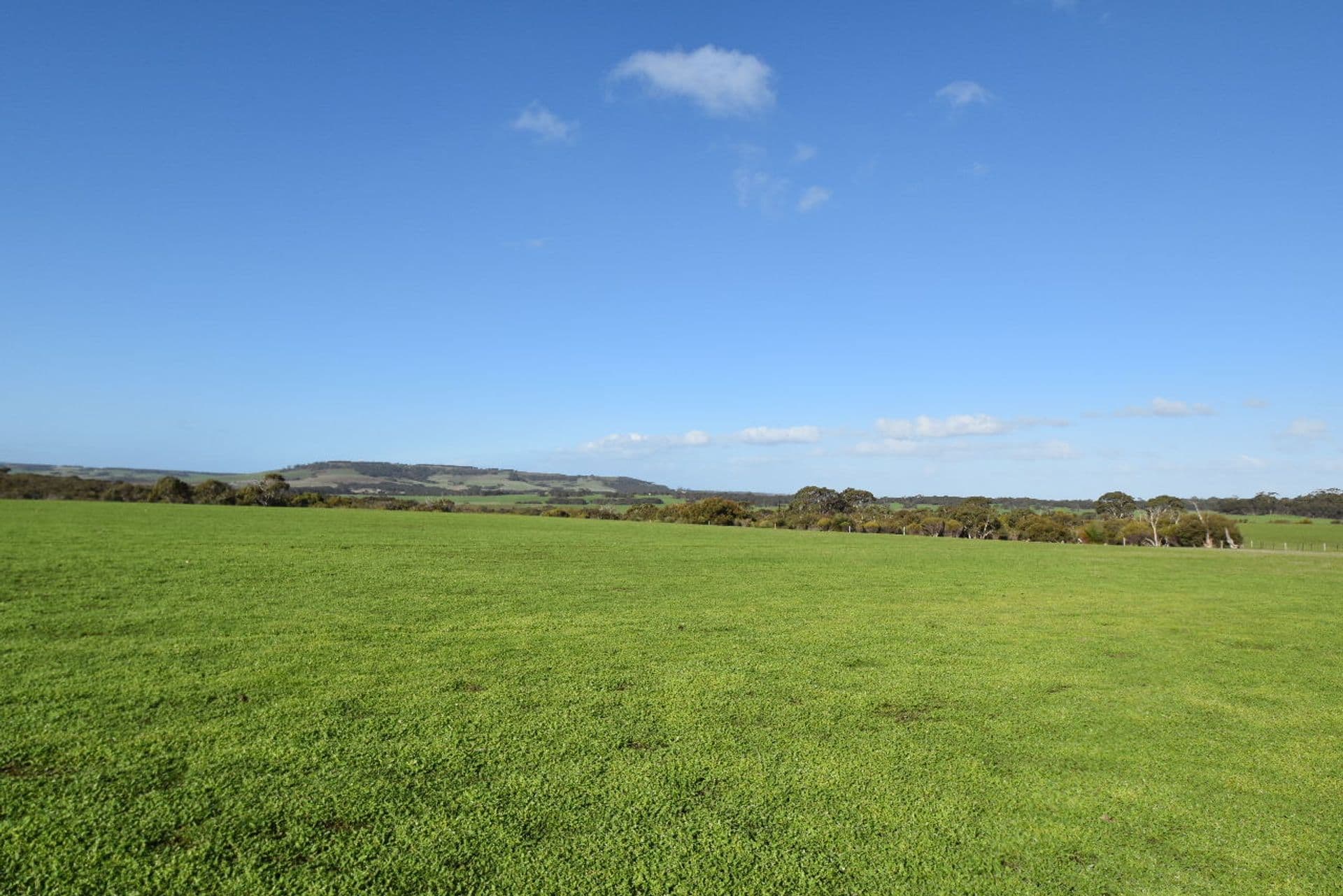 Lot 1 North Coast Road, Menzies, SA, 5223, Menzies - Image 1