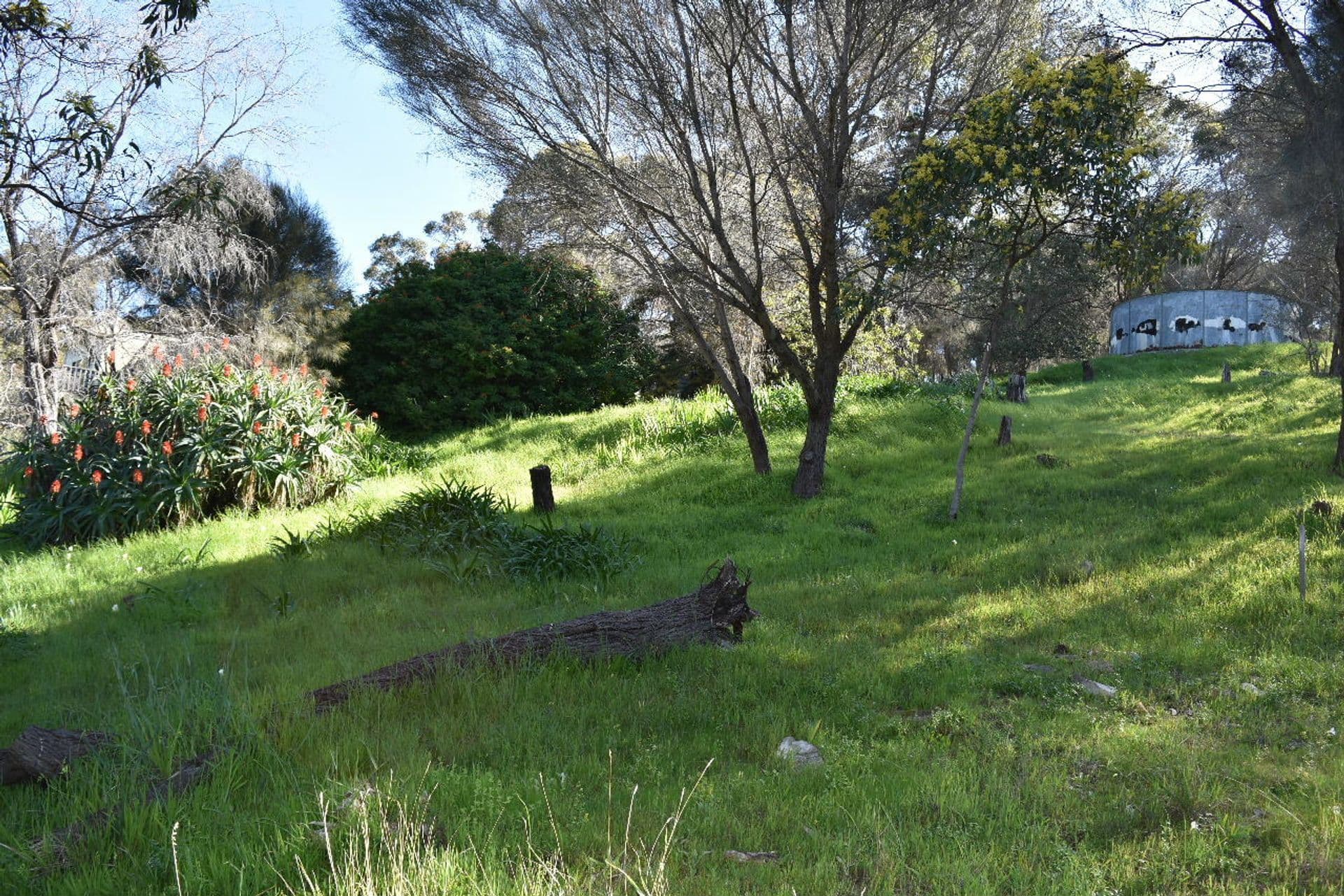 49 Scenic Drive, American River, SA, 5221, American River - Thumbnail 7
