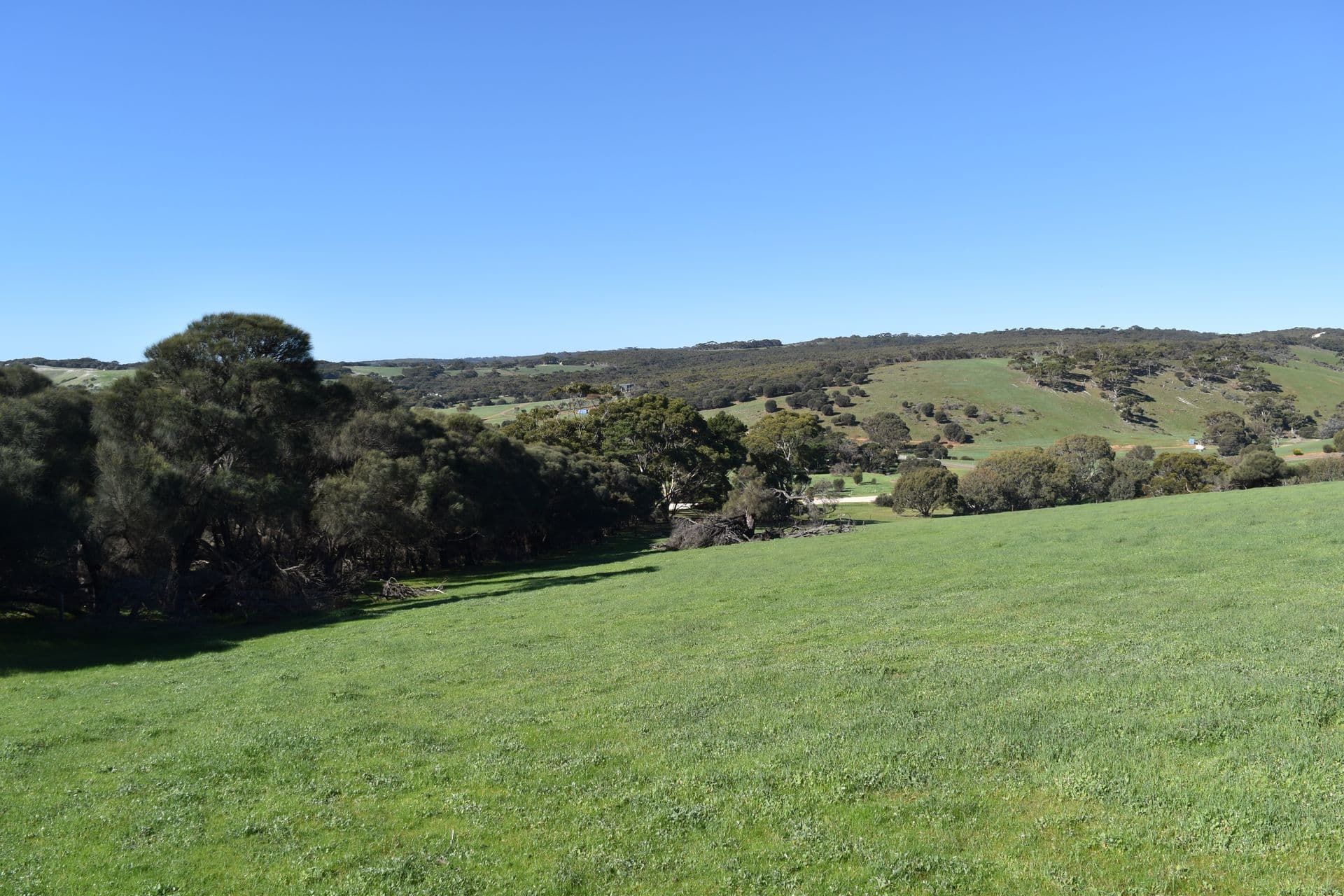 Lot 908 North Coast Road, Stokes Bay, SA, 5223, Stokes Bay - Thumbnail 5
