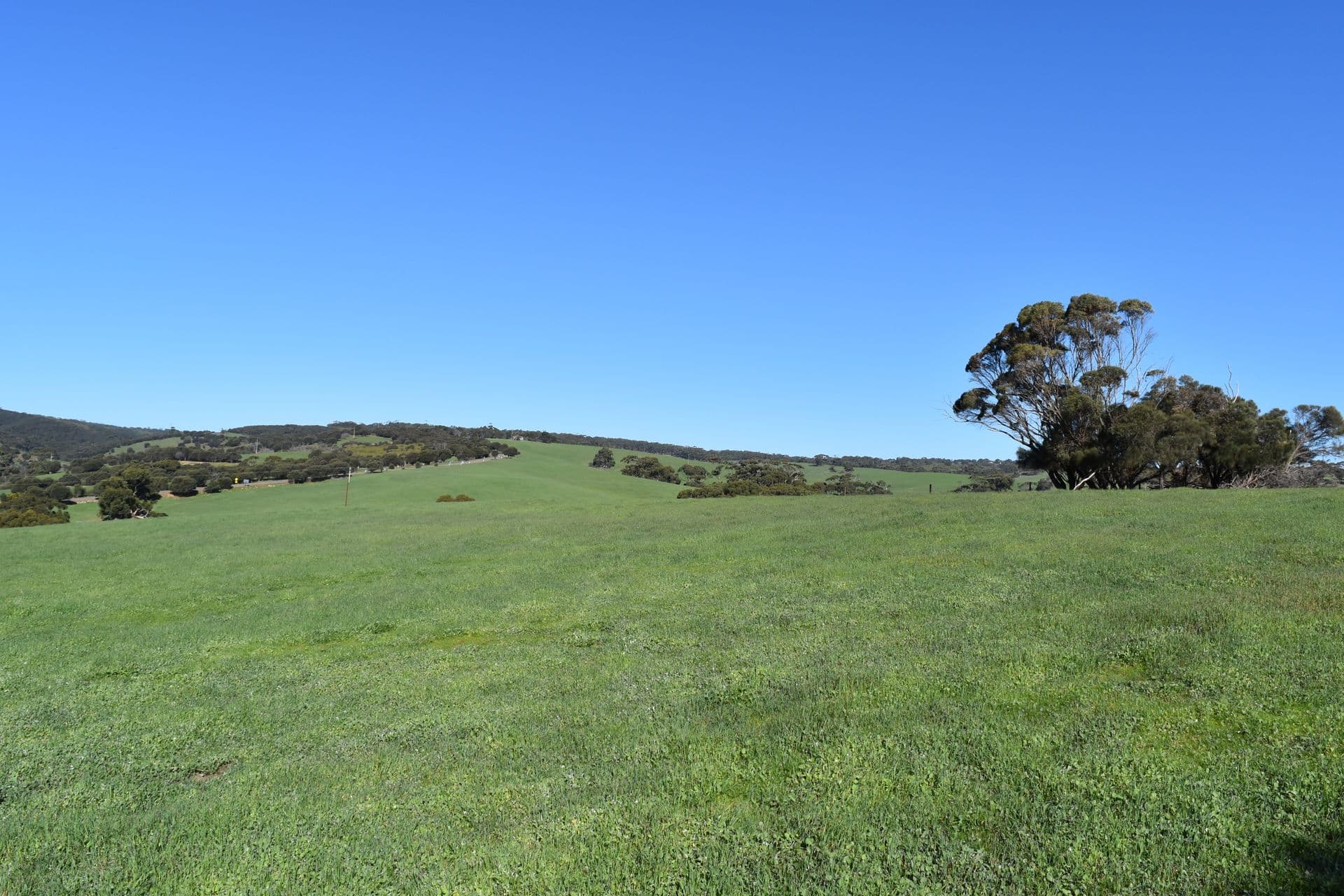 Lot 908 North Coast Road, Stokes Bay, SA, 5223, Stokes Bay - Thumbnail 7