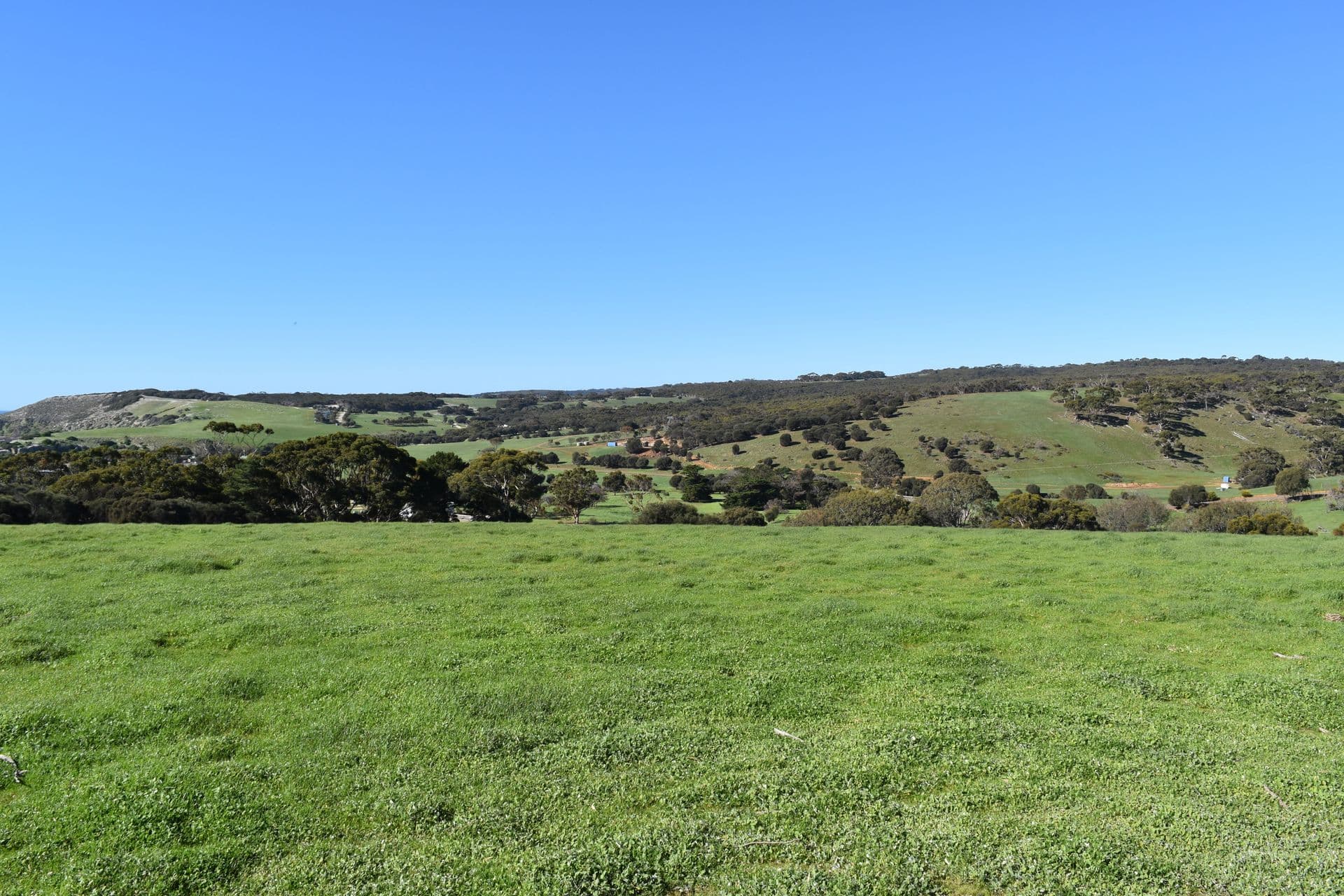 Lot 908 North Coast Road, Stokes Bay, SA, 5223, Stokes Bay - Thumbnail 8