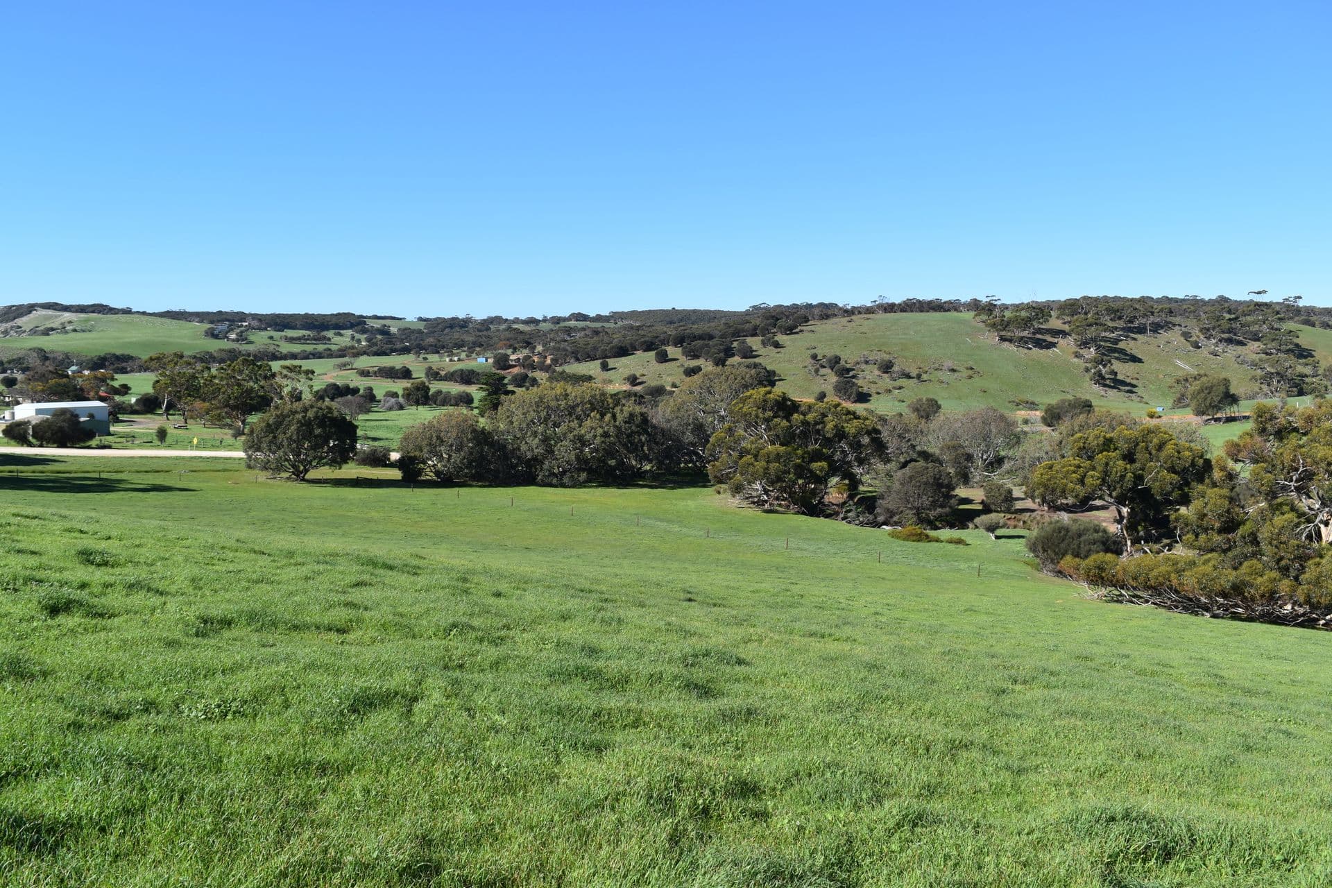 Lot 909 North Coast Road, Stokes Bay, SA, 5223, Stokes Bay - Thumbnail 4