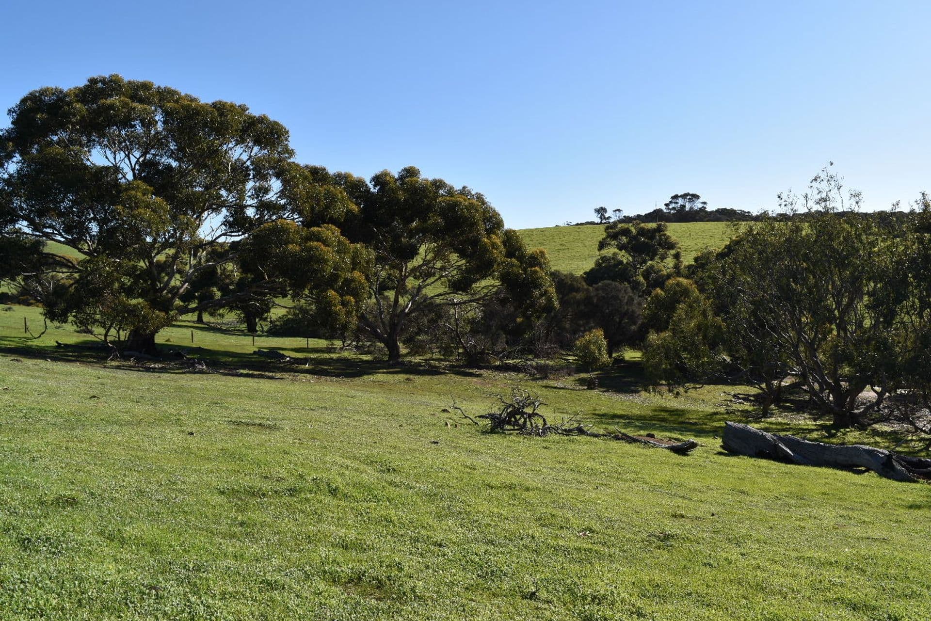 Lot 910 North Coast Road, Stokes Bay, SA, 5223, Stokes Bay - Thumbnail 5