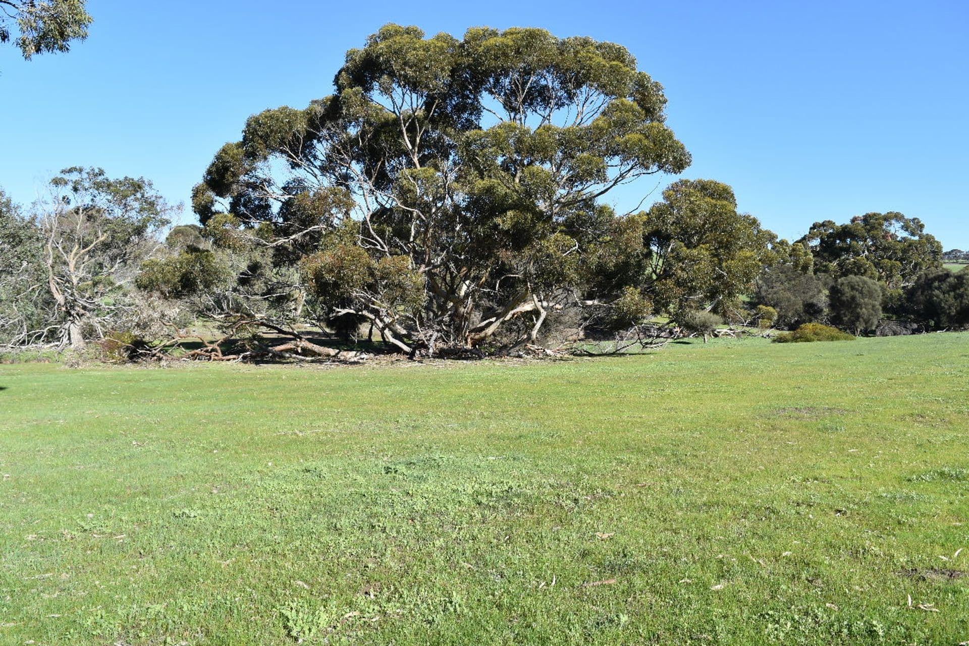 Lot 910 North Coast Road, Stokes Bay, SA, 5223, Stokes Bay - Thumbnail 7
