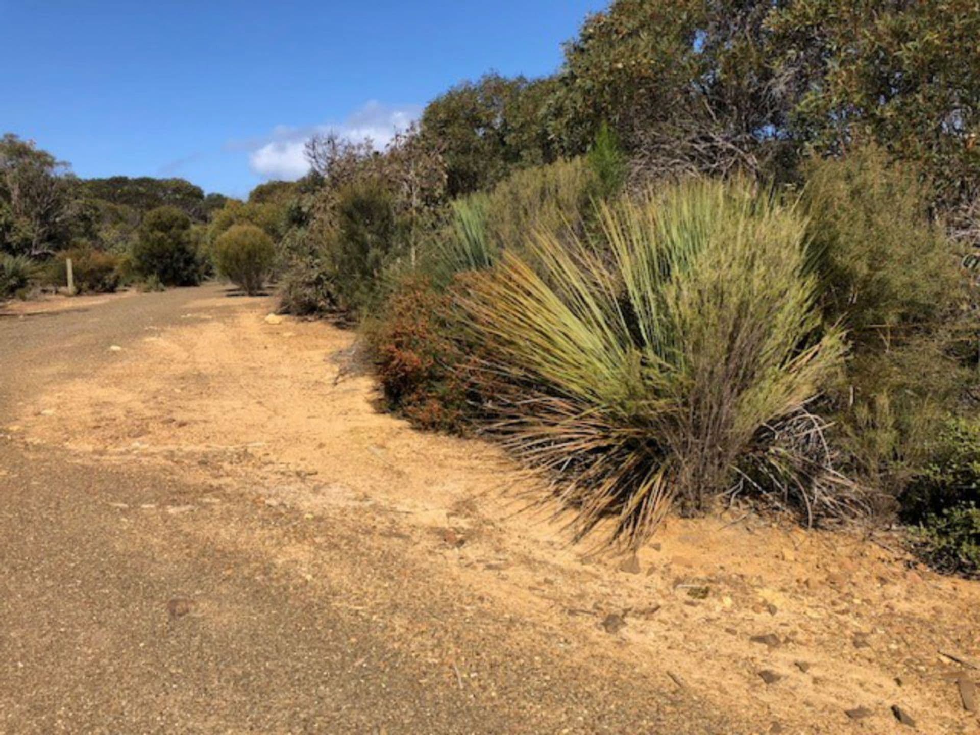 Lot 4 South Coast Road, Vivonne Bay, SA, 5223, Vivonne Bay - Image 1