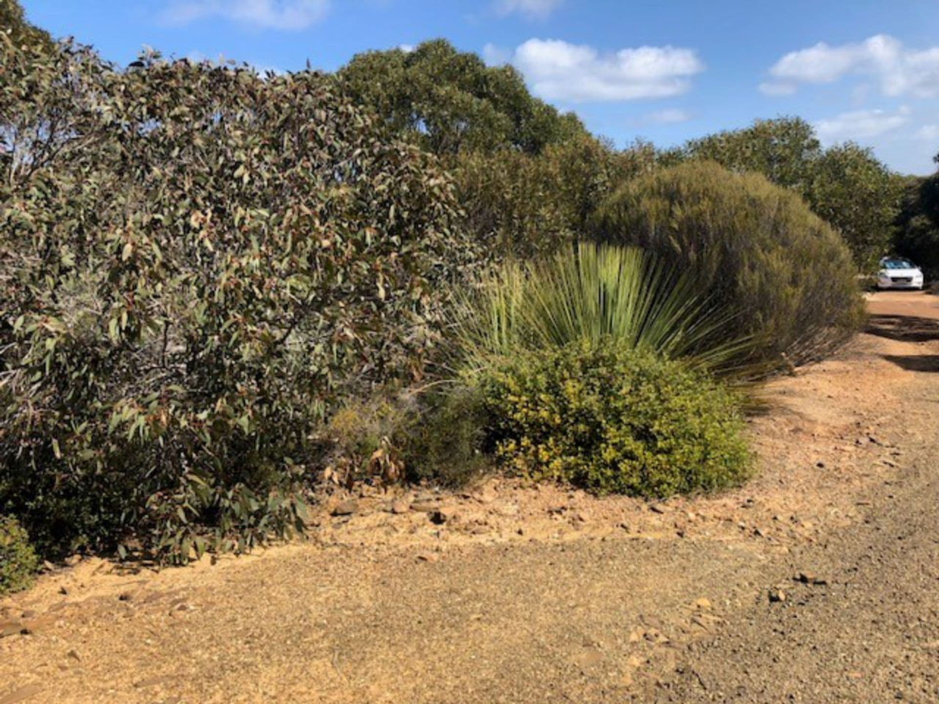 Lot 4 South Coast Road, Vivonne Bay, SA, 5223, Vivonne Bay - Thumbnail 2
