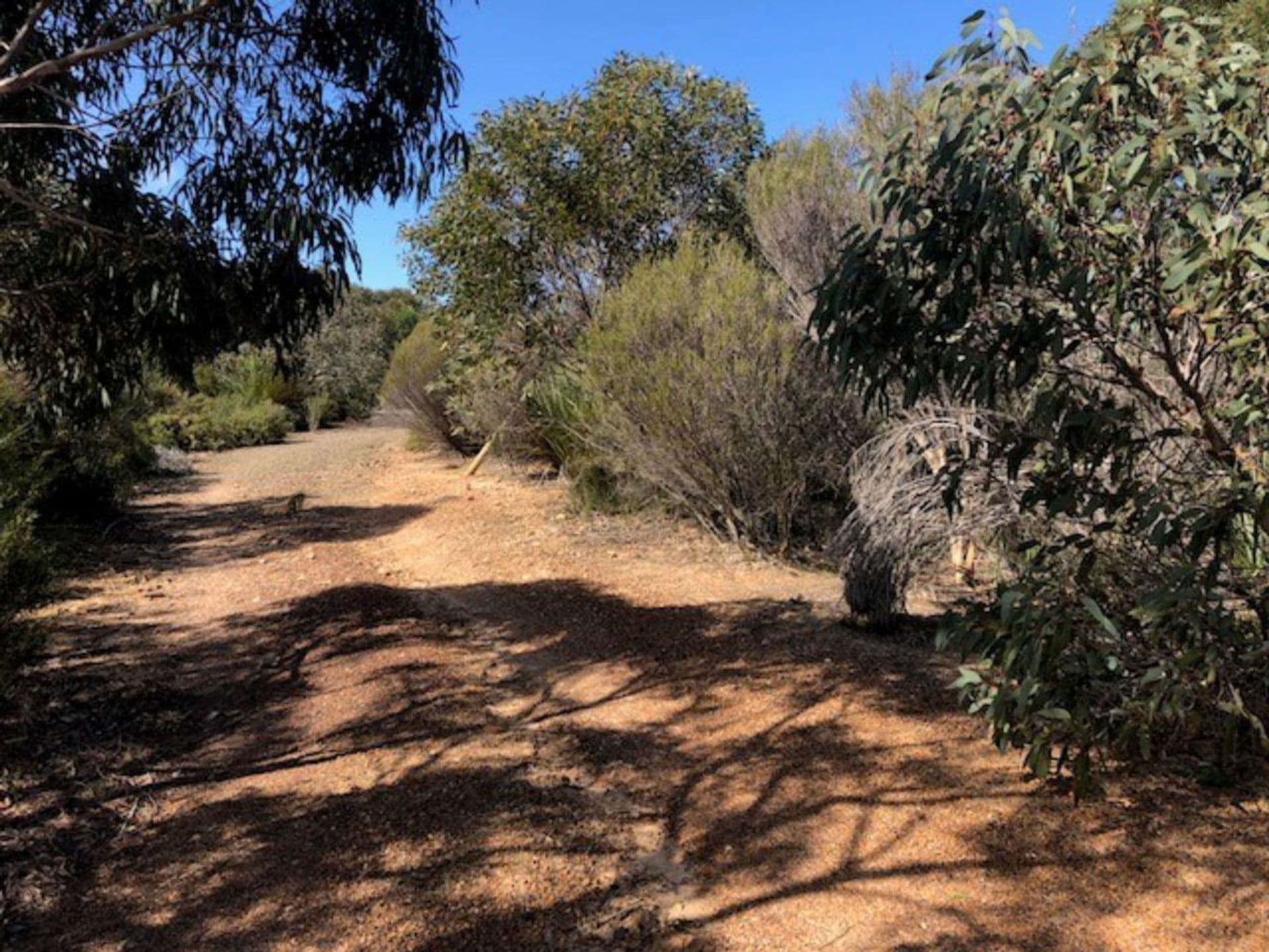 Lot 5 South Coast Road, Vivonne Bay, SA, 5223, Vivonne Bay - Thumbnail 4
