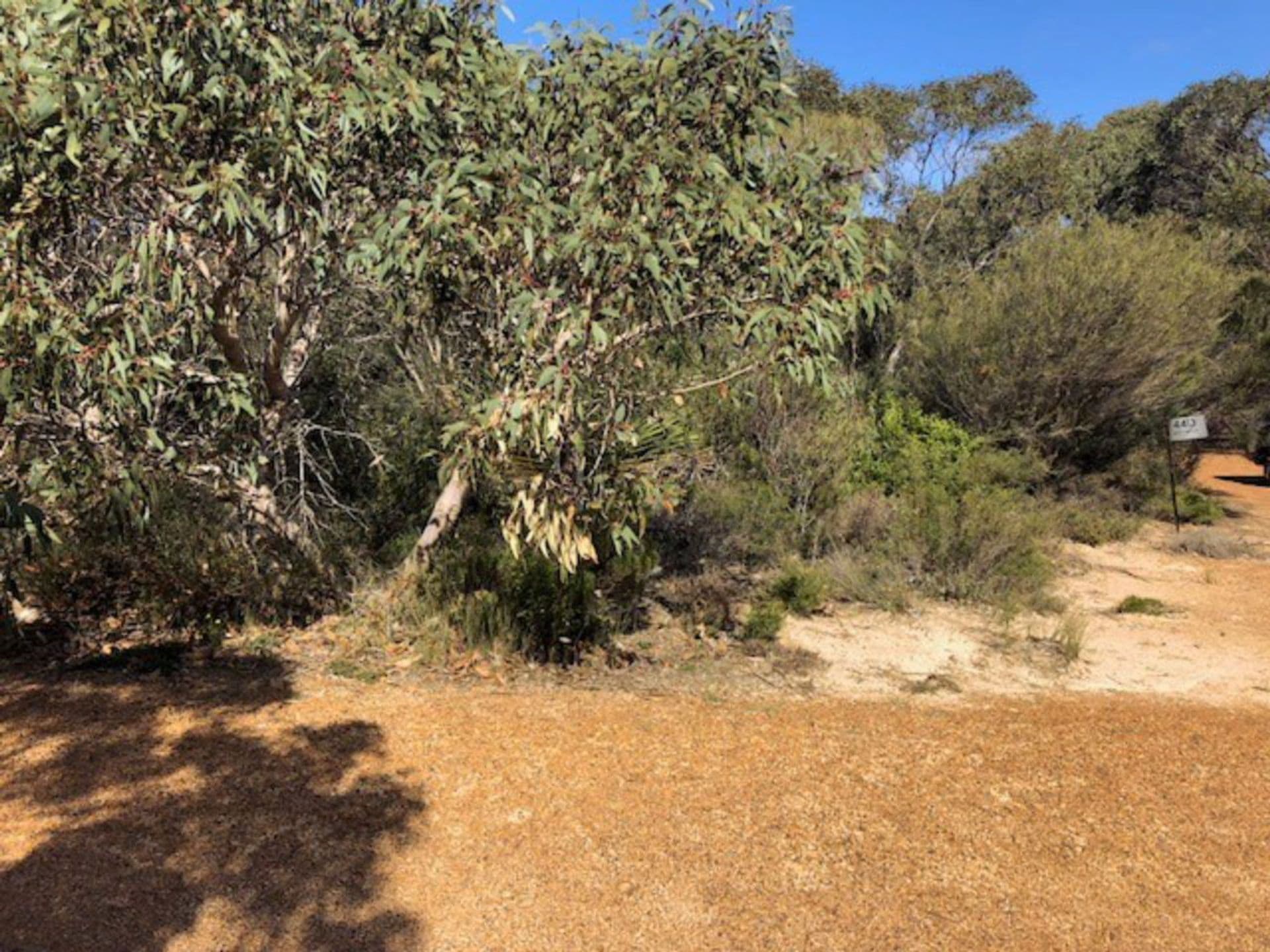 Lot 5 South Coast Road, Vivonne Bay, SA, 5223, Vivonne Bay - Thumbnail 5