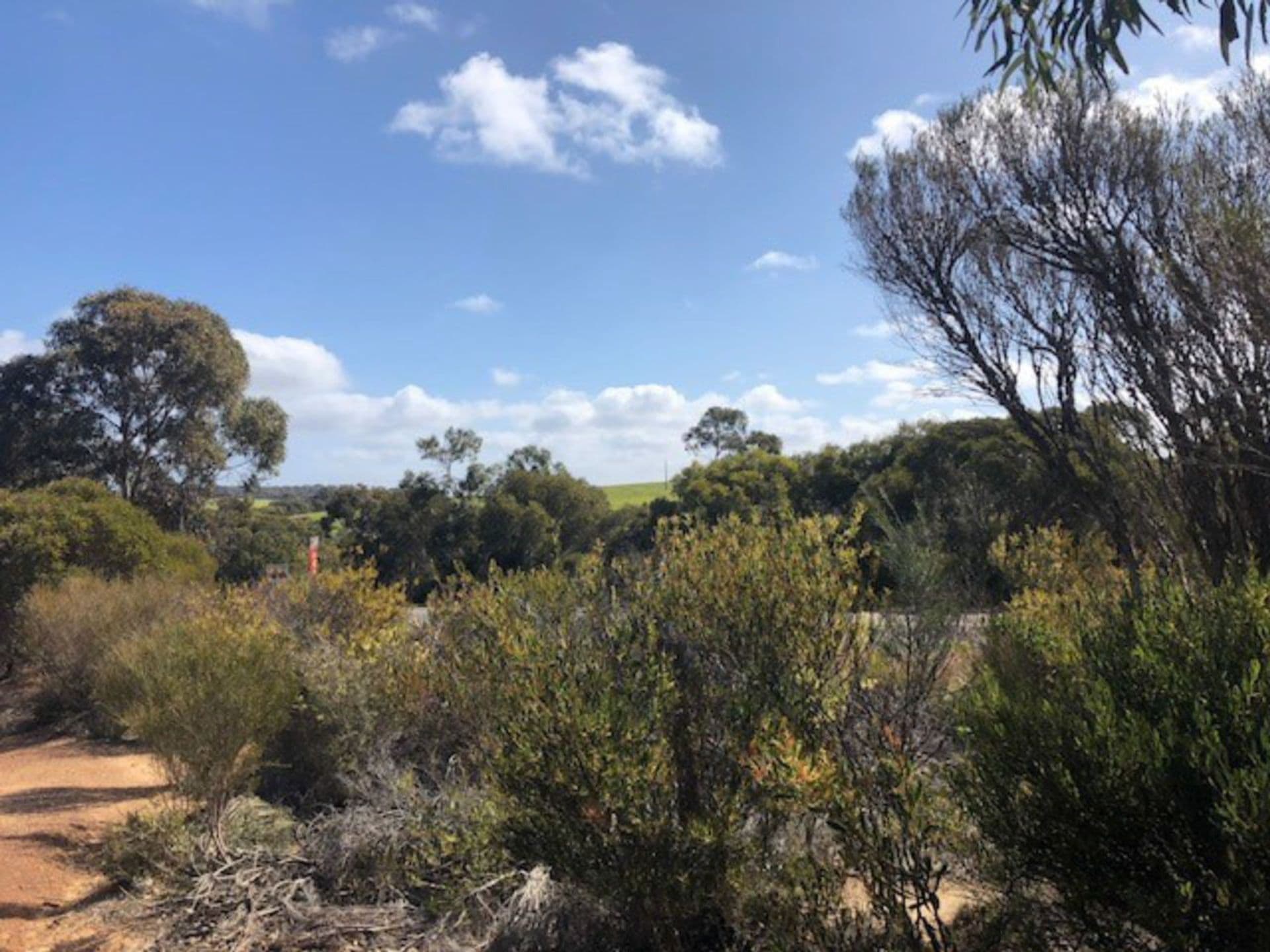 Lot 5 South Coast Road, Vivonne Bay, SA, 5223, Vivonne Bay - Thumbnail 7