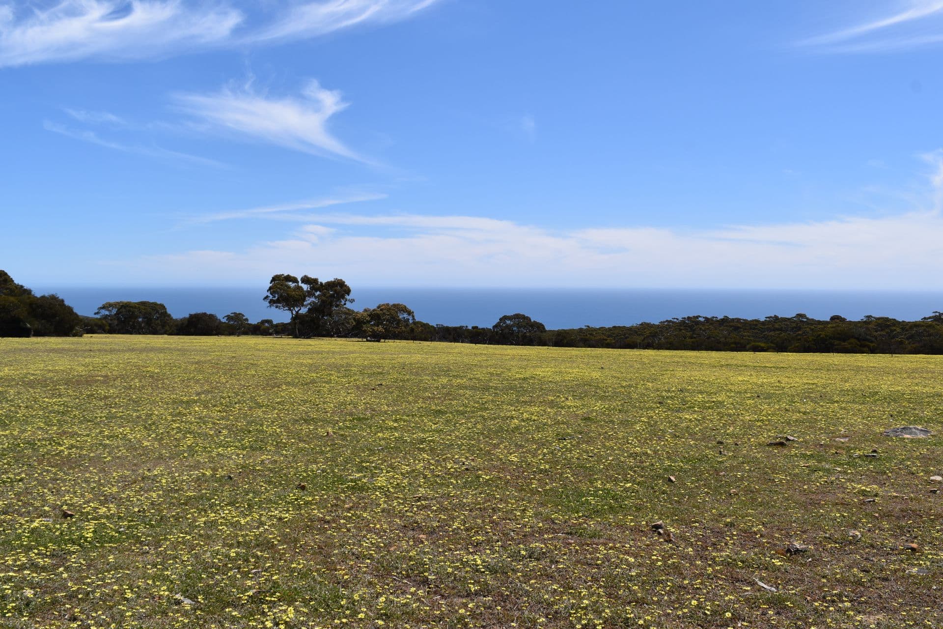 Lot 3 North Coast Road, Cassini, SA, 5223, Cassini - Thumbnail 4