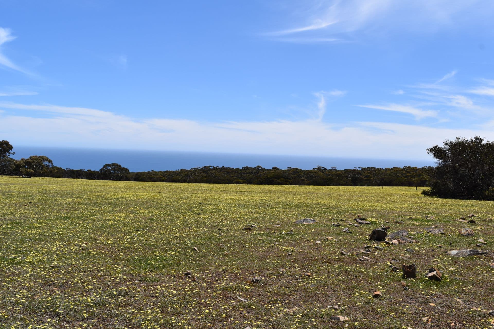 Lot 3 North Coast Road, Cassini, SA, 5223, Cassini - Thumbnail 5