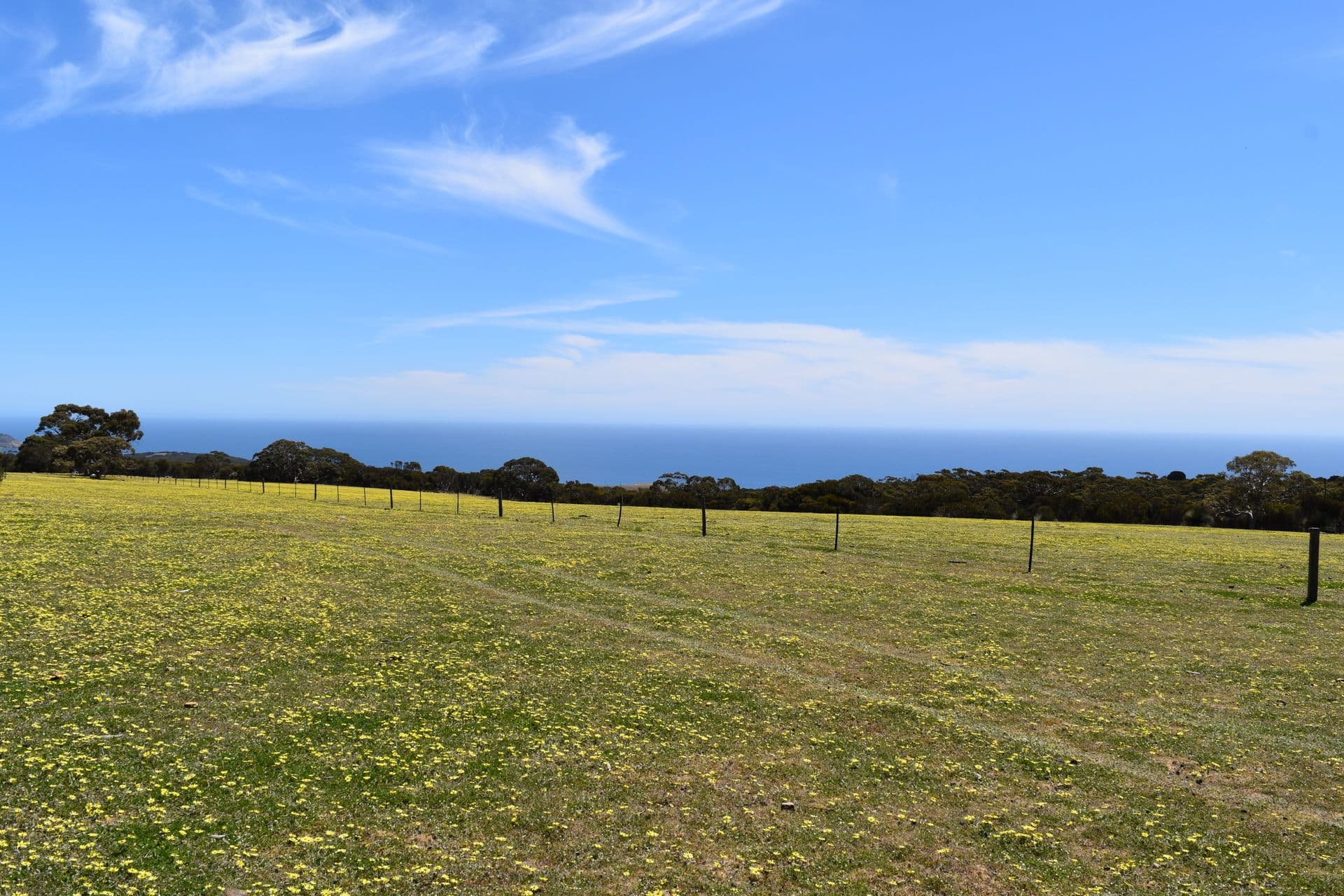Lot 3 North Coast Road, Cassini, SA, 5223, Cassini - Thumbnail 7
