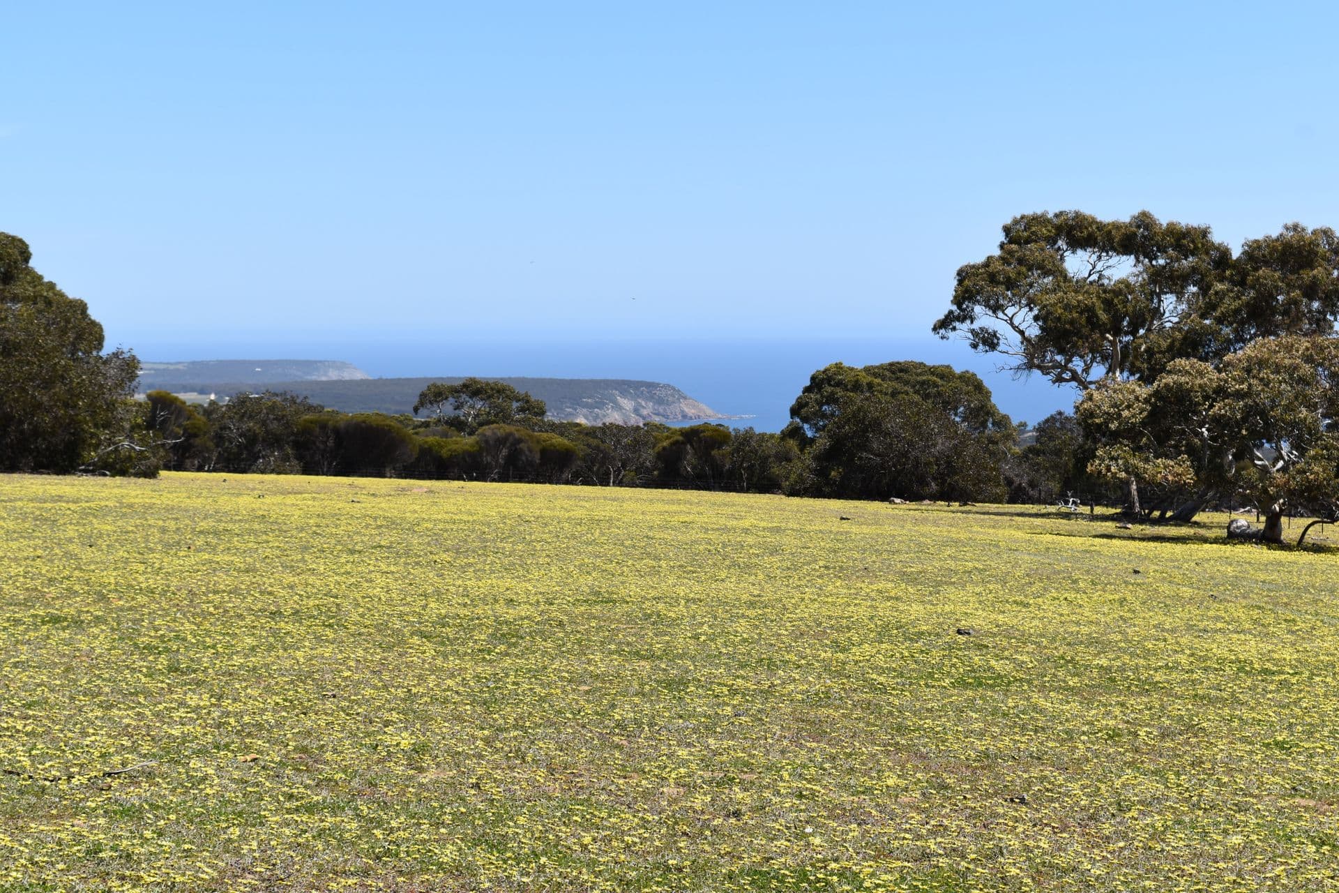 Lot 3 North Coast Road, Cassini, SA, 5223, Cassini - Thumbnail 6
