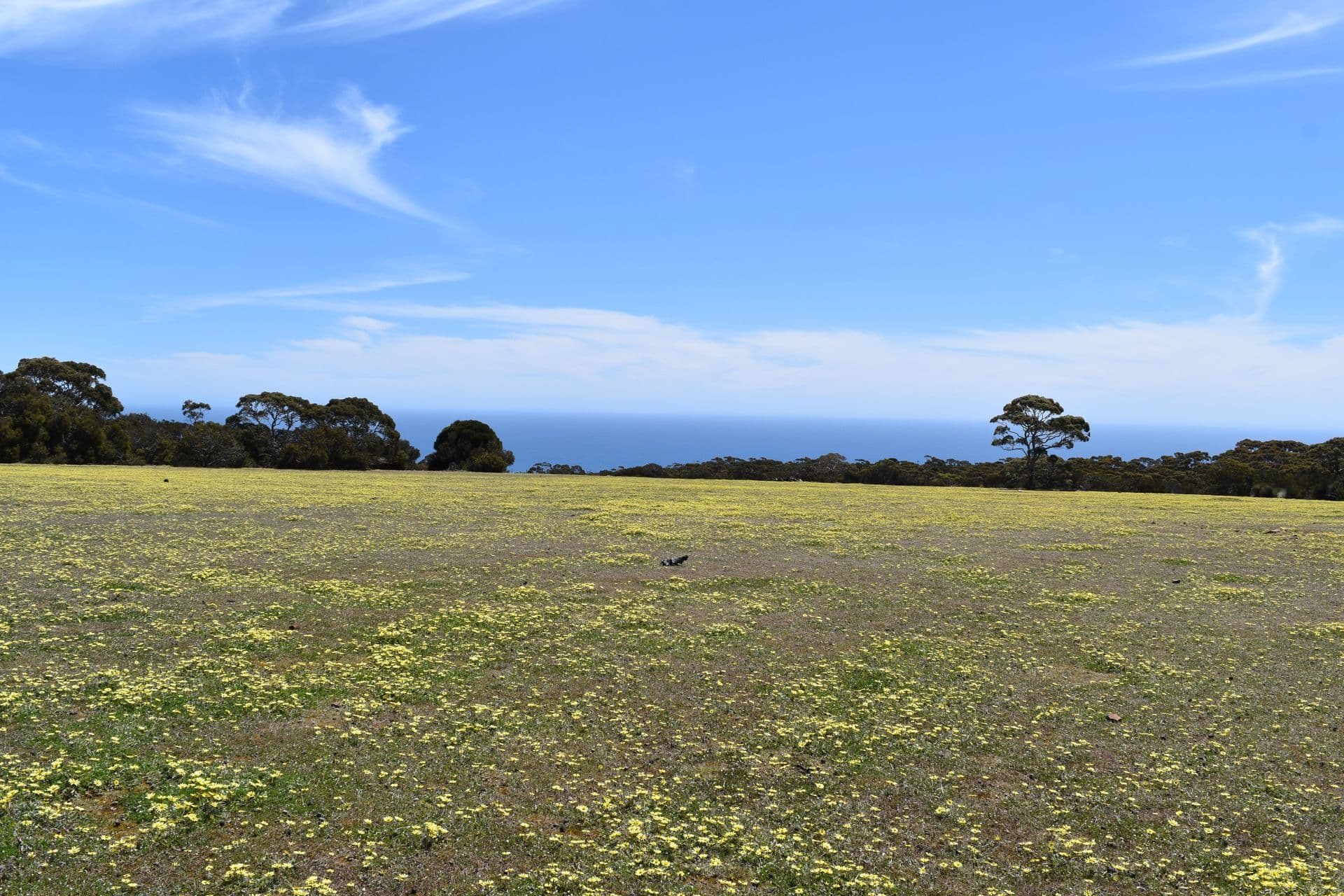 Lot 3 North Coast Road, Cassini, SA, 5223, Cassini - Thumbnail 8