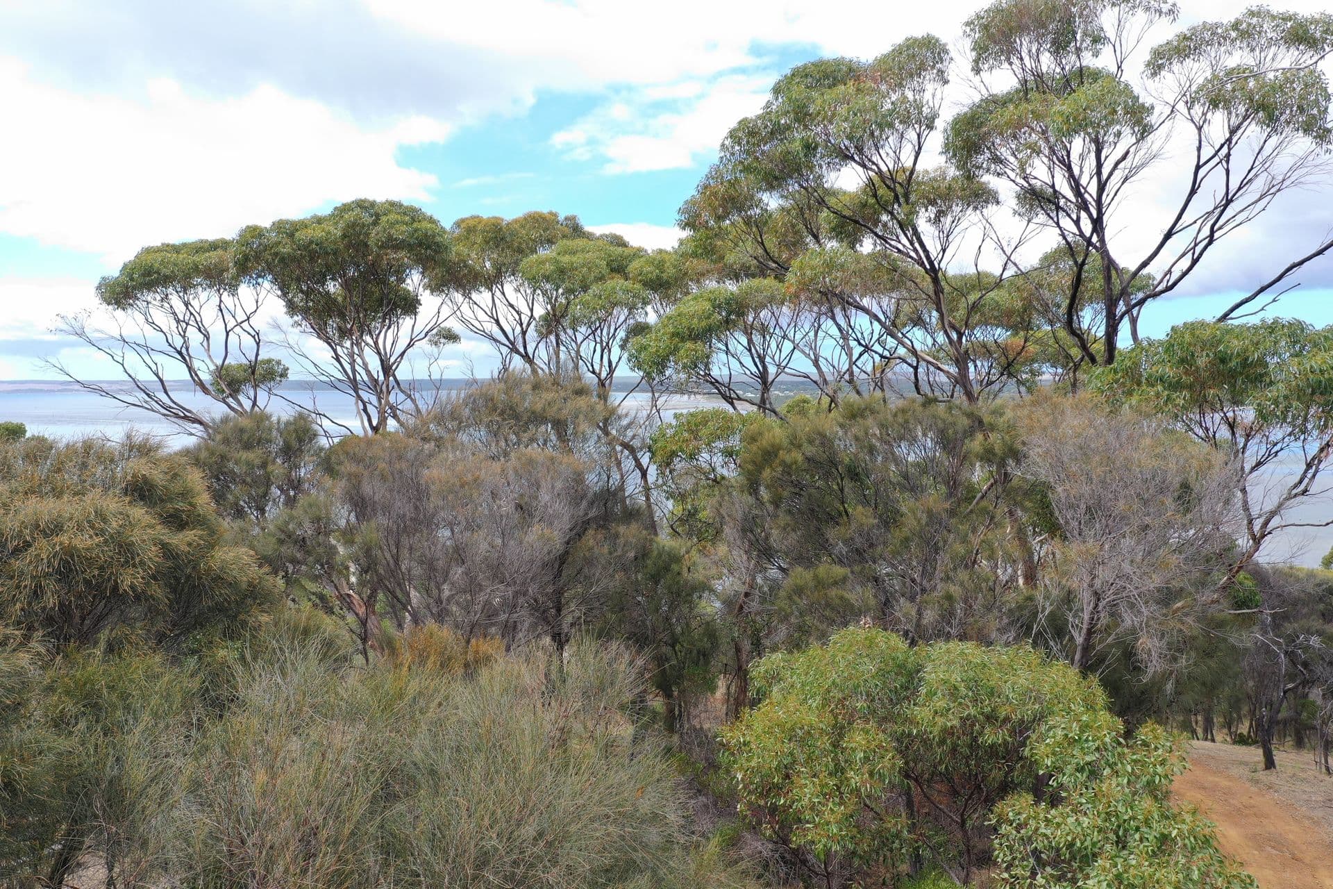 Lot 12 Bayview Road, American River, SA, 5221, American River - Thumbnail 8