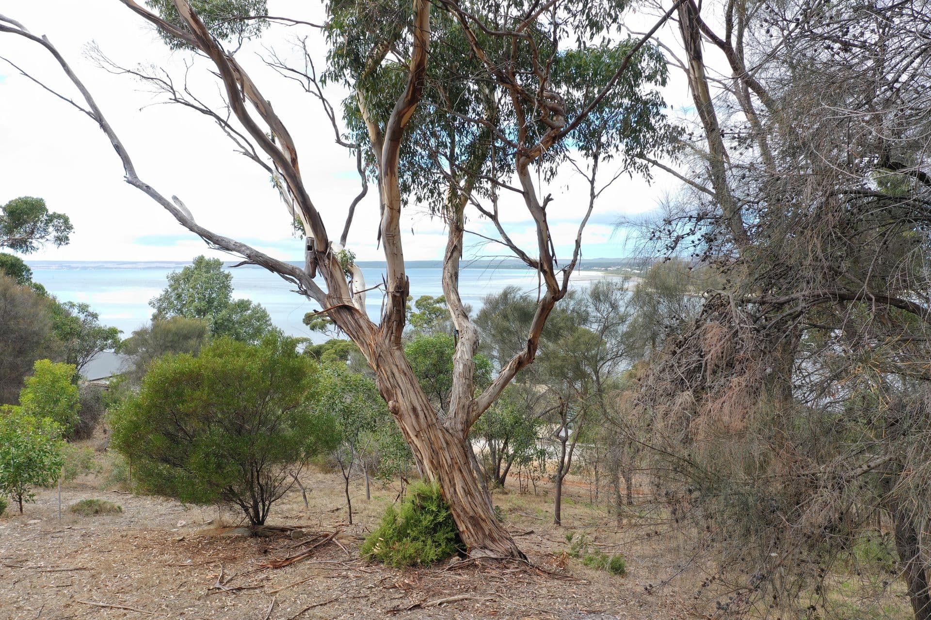 Lot 12 Bayview Road, American River, SA, 5221, American River - Thumbnail 4