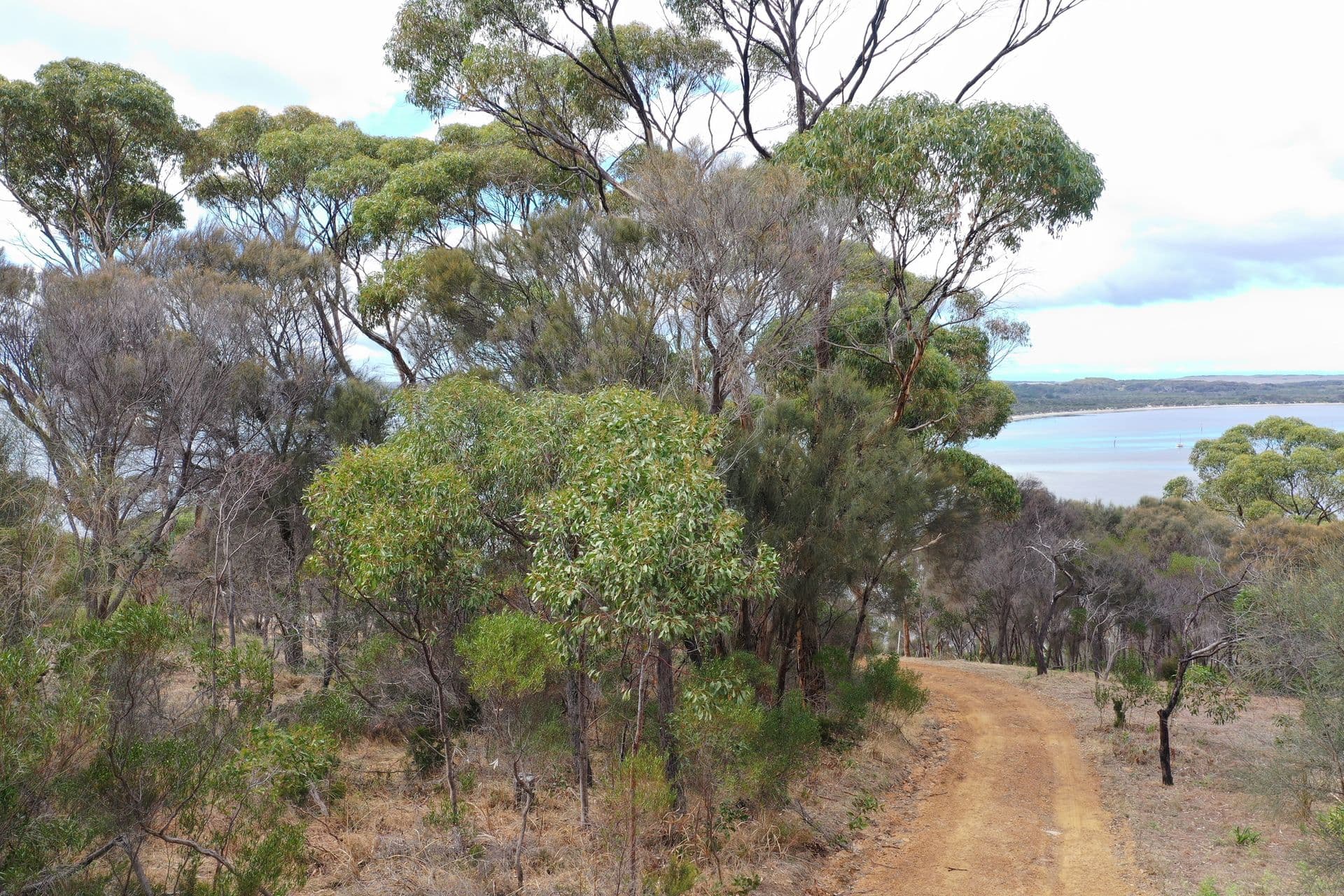 Lot 12 Bayview Road, American River, SA, 5221, American River - Thumbnail 6
