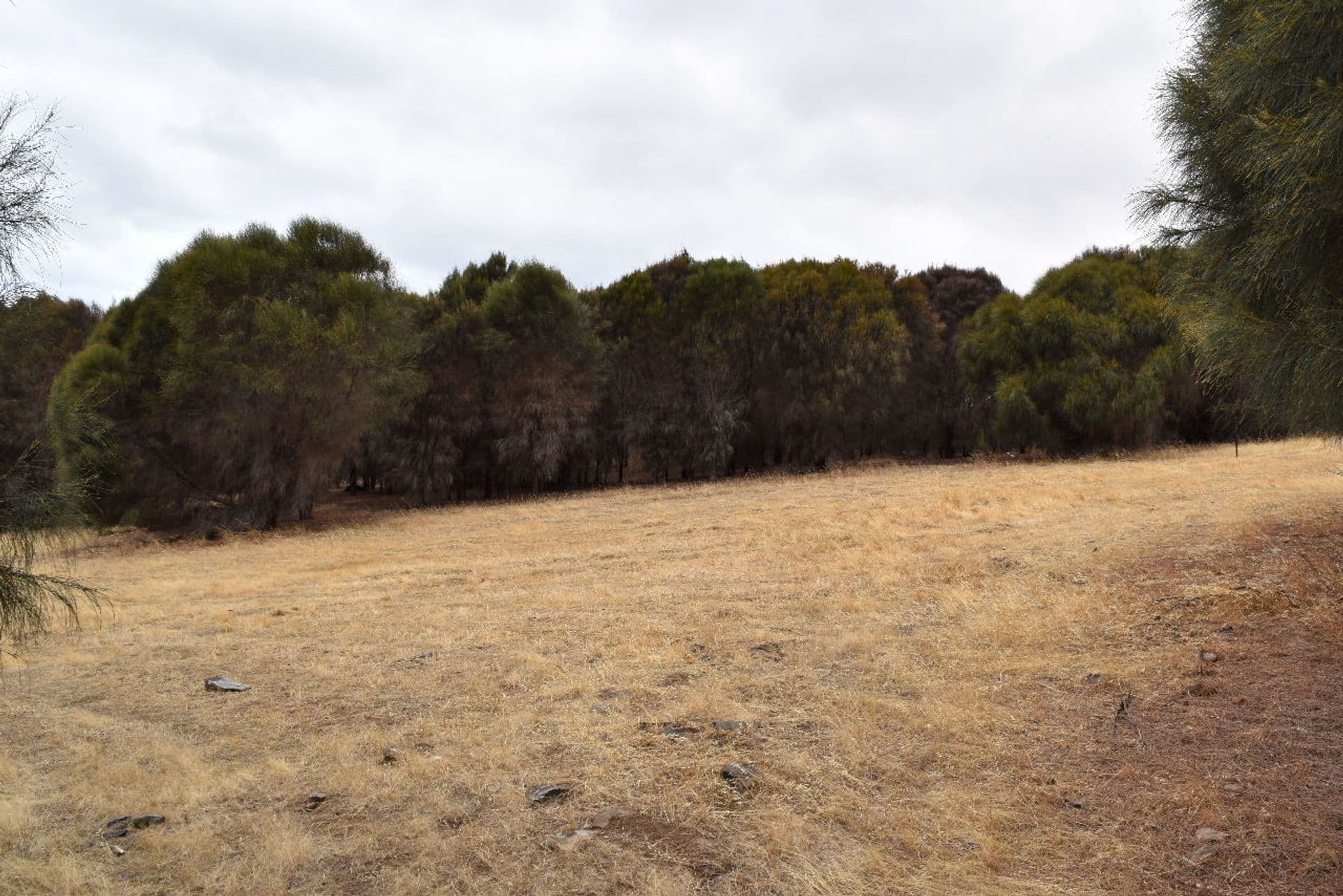 Lot 2 Binneys Track, Penneshaw, SA, 5222, Penneshaw - Thumbnail 3