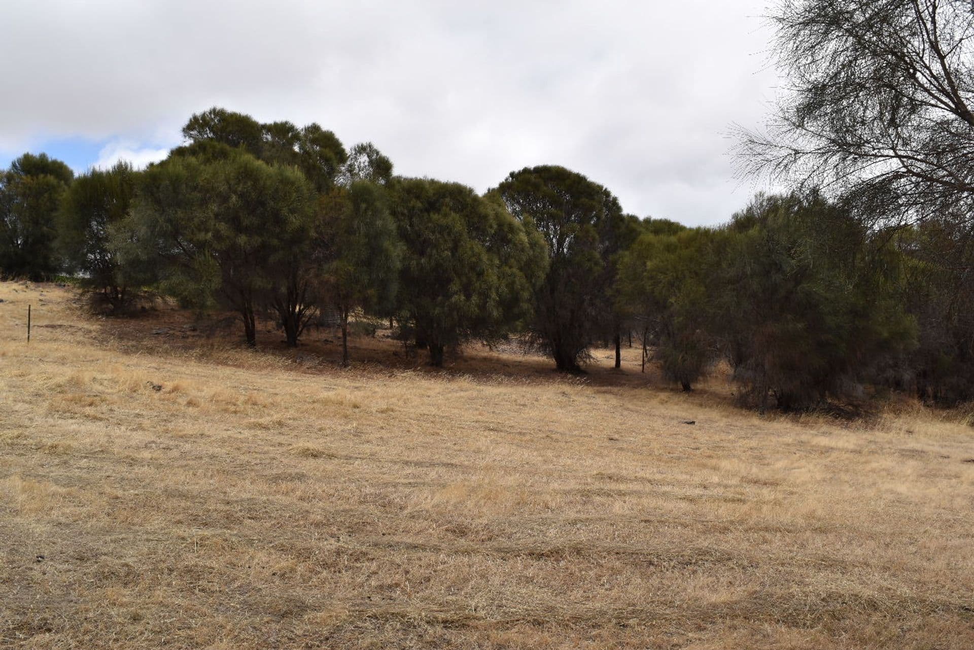 Lot 2 Binneys Track, Penneshaw, SA, 5222, Penneshaw - Thumbnail 4
