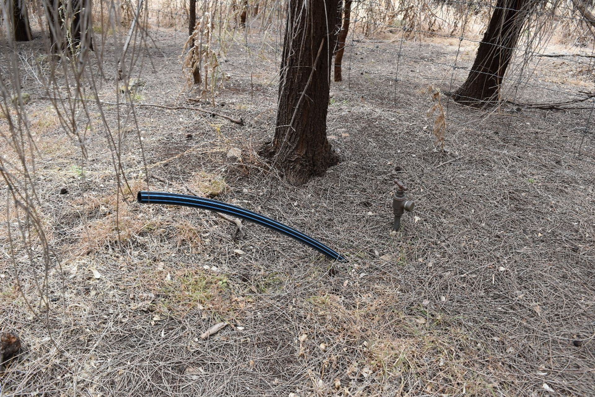 Lot 2 Binneys Track, Penneshaw, SA, 5222, Penneshaw - Thumbnail 7