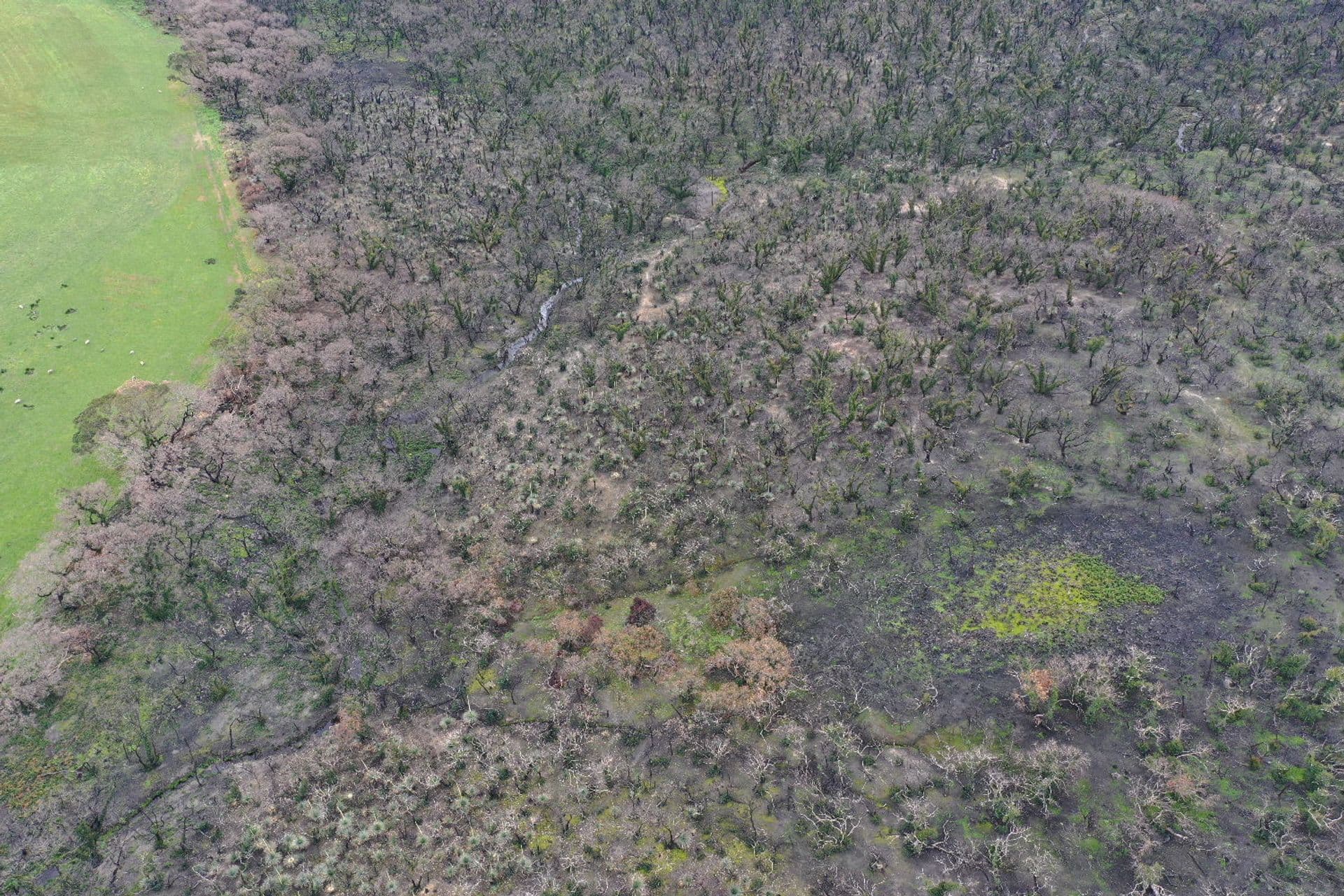 Lot 5 Church Road, Karatta, SA, 5223, Karatta - Thumbnail 5