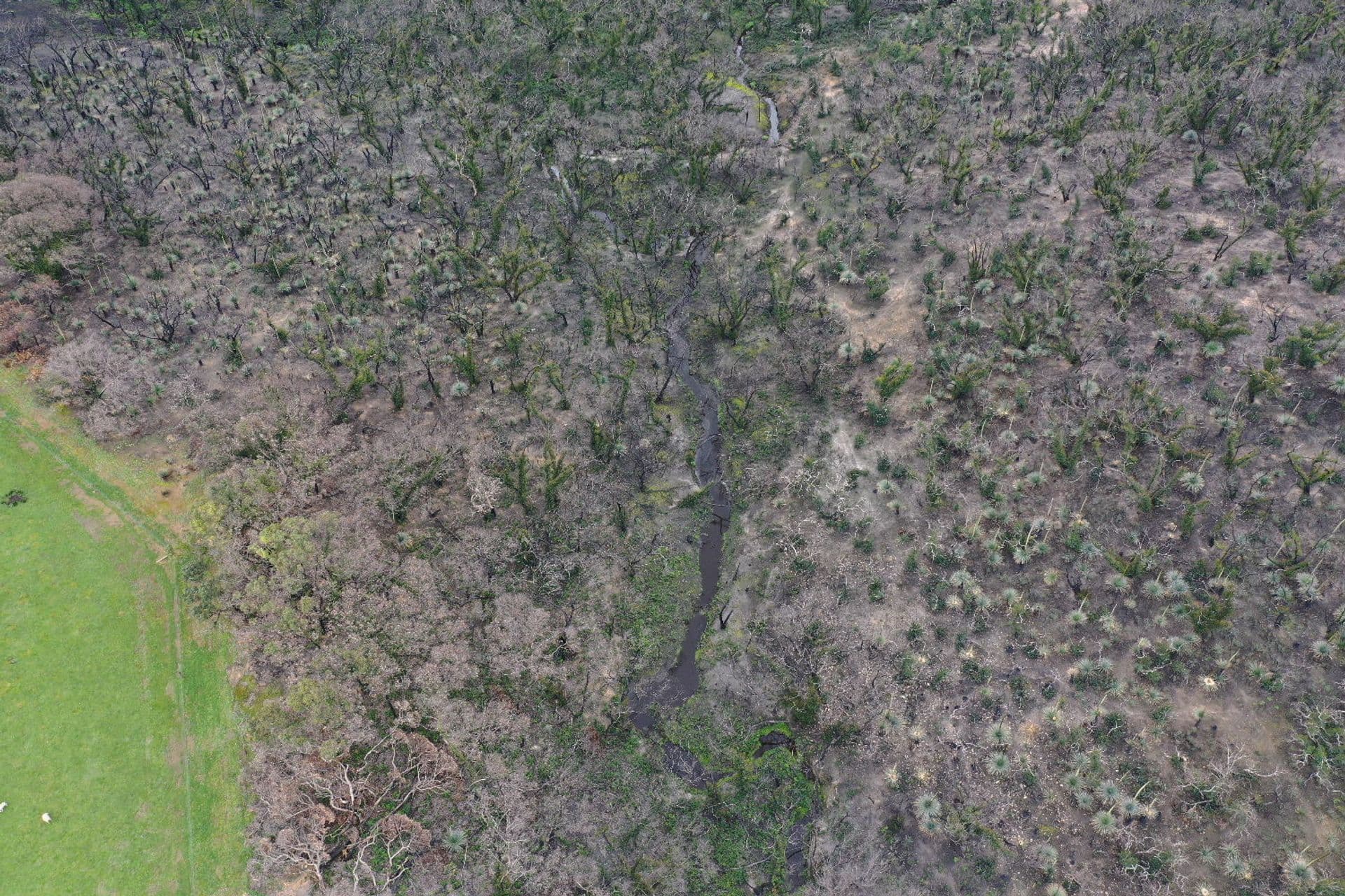 Lot 5 Church Road, Karatta, SA, 5223, Karatta - Thumbnail 6
