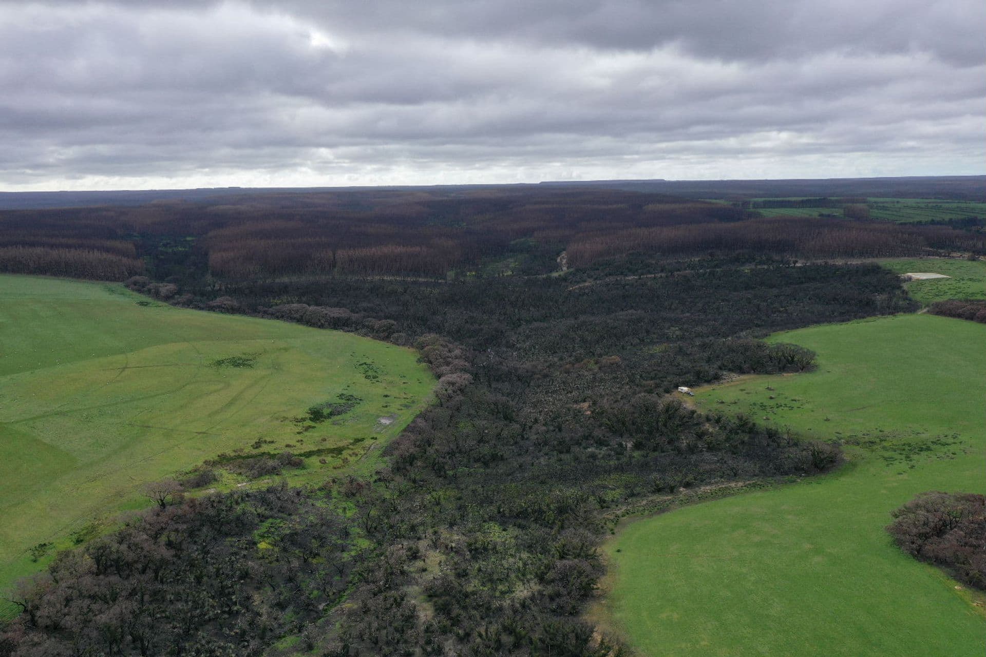 Lot 5 Church Road, Karatta, SA, 5223, Karatta - Thumbnail 4
