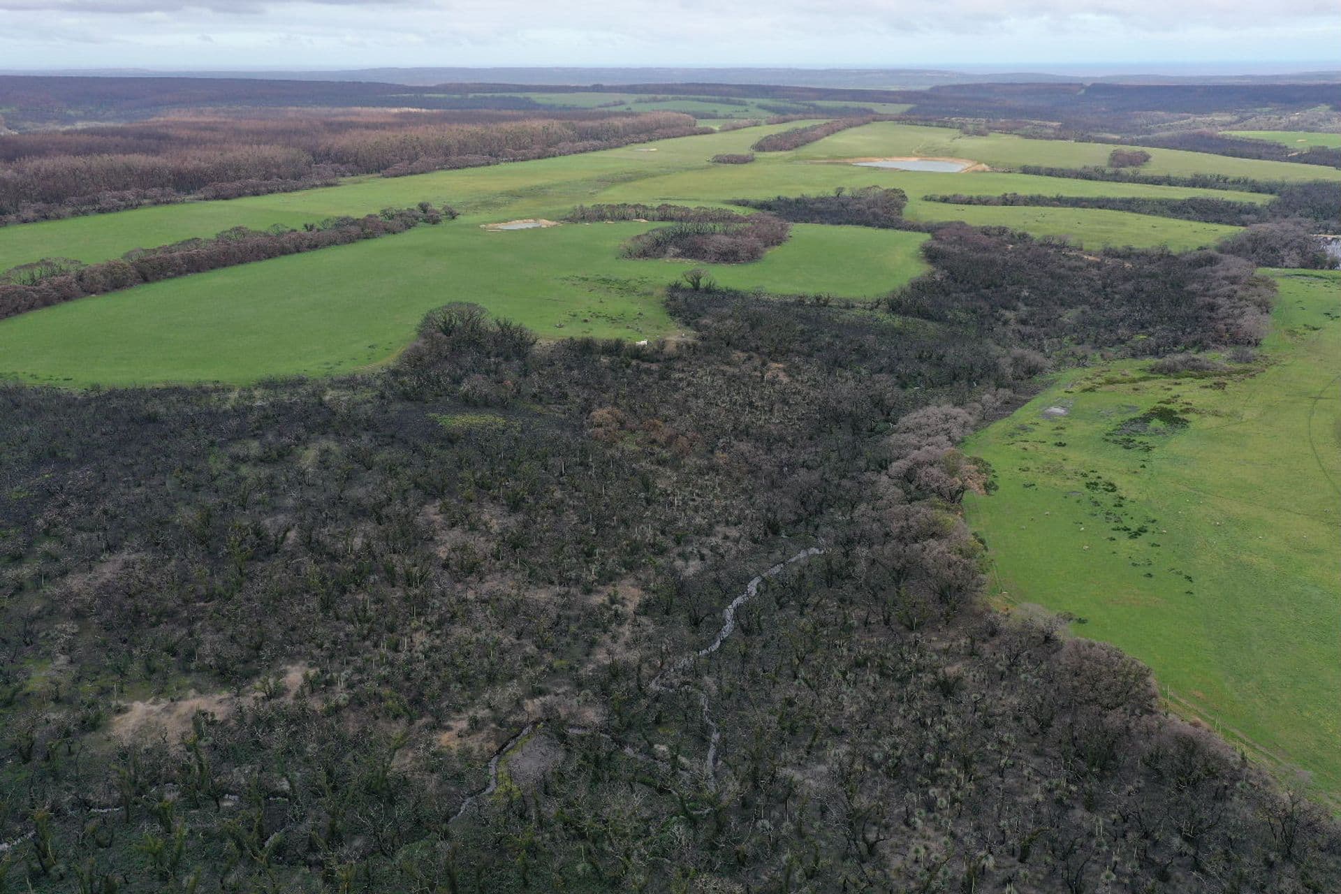 Lot 5 Church Road, Karatta, SA, 5223, Karatta - Thumbnail 7