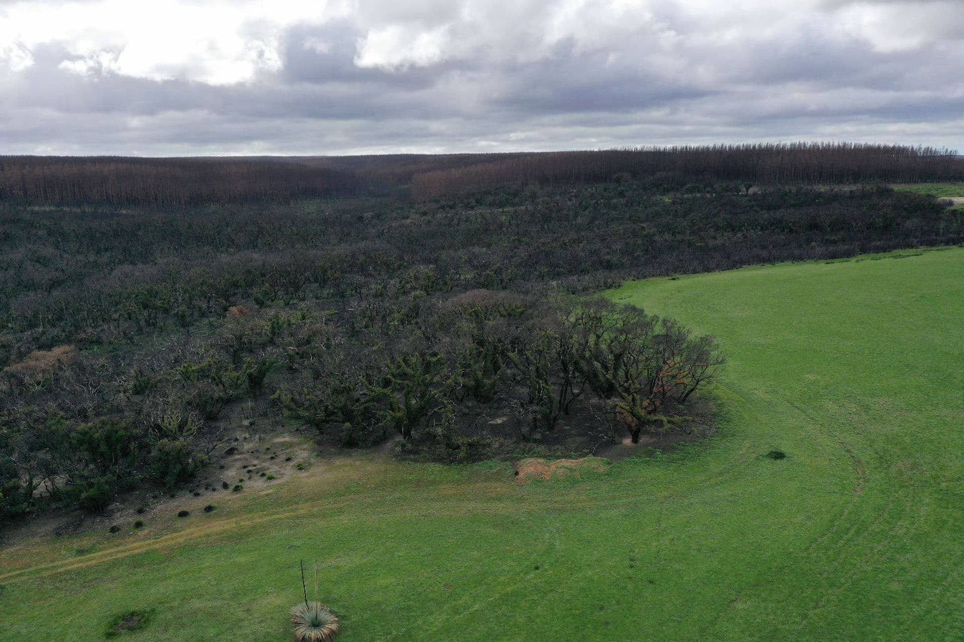 Lot 5 Church Road, Karatta, SA, 5223, Karatta - Thumbnail 3