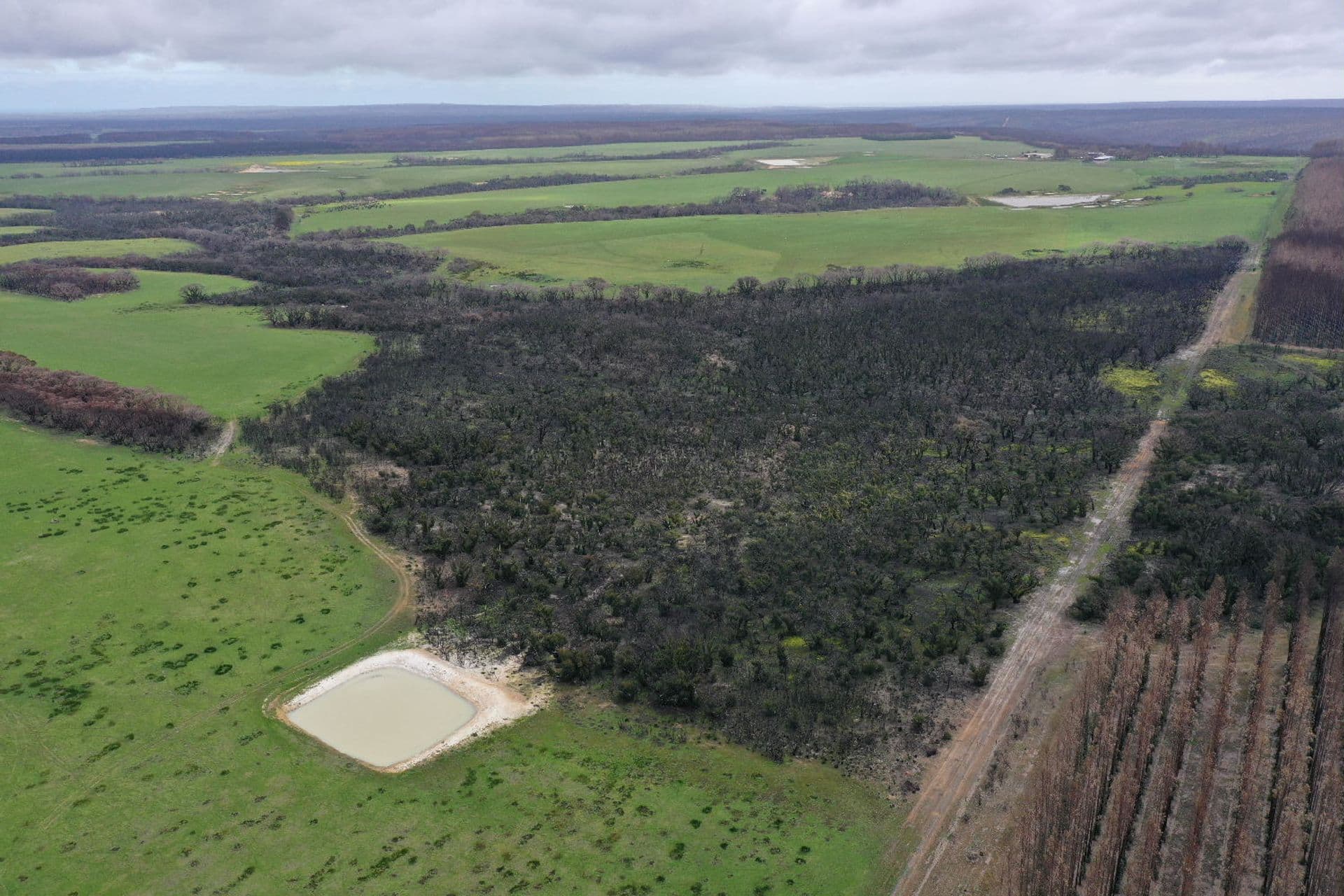 Lot 5 Church Road, Karatta, SA, 5223, Karatta - Thumbnail 8