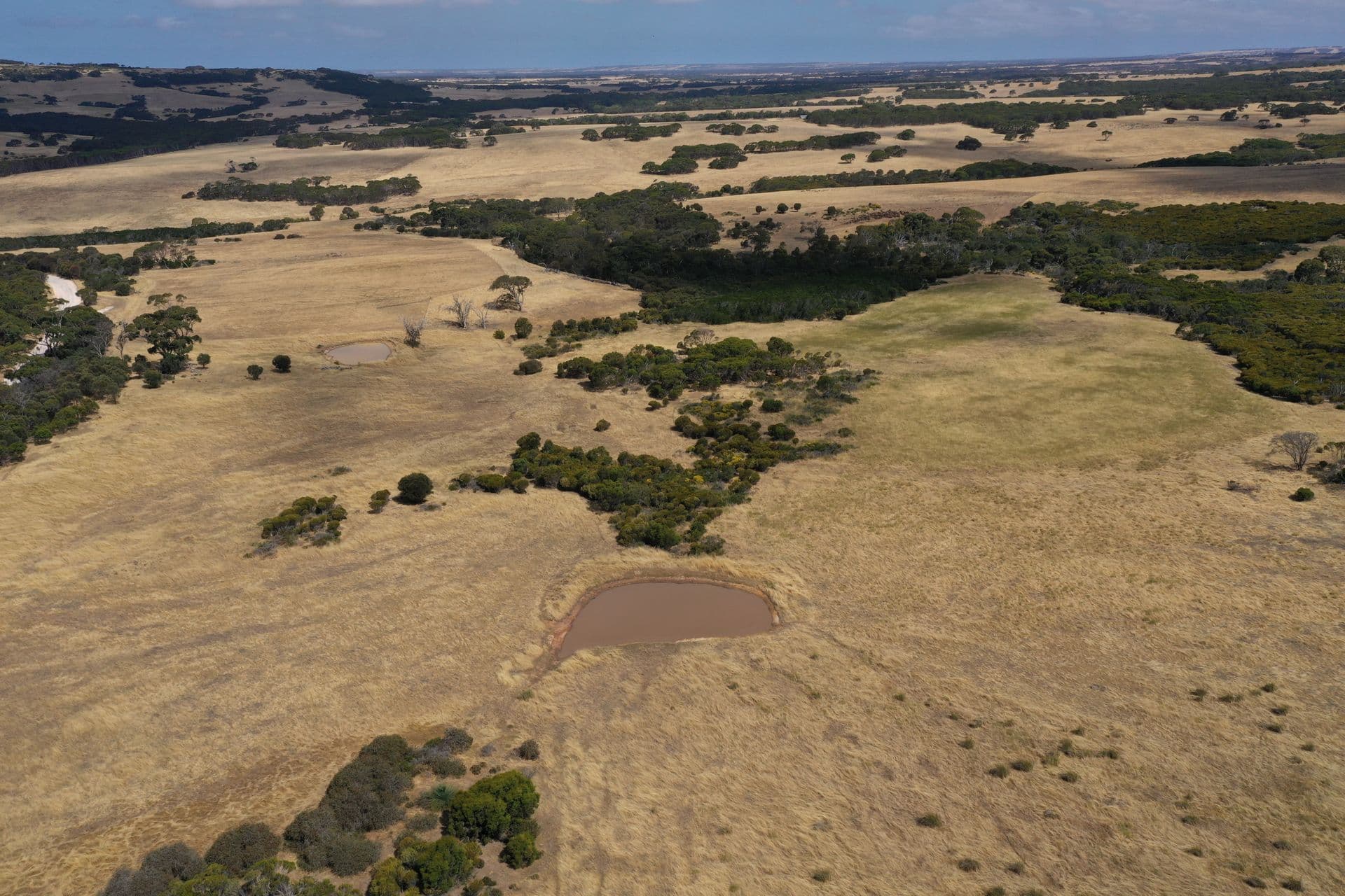 Lot 2 North Coast Road, Menzies, SA, 5223, Menzies - Thumbnail 4