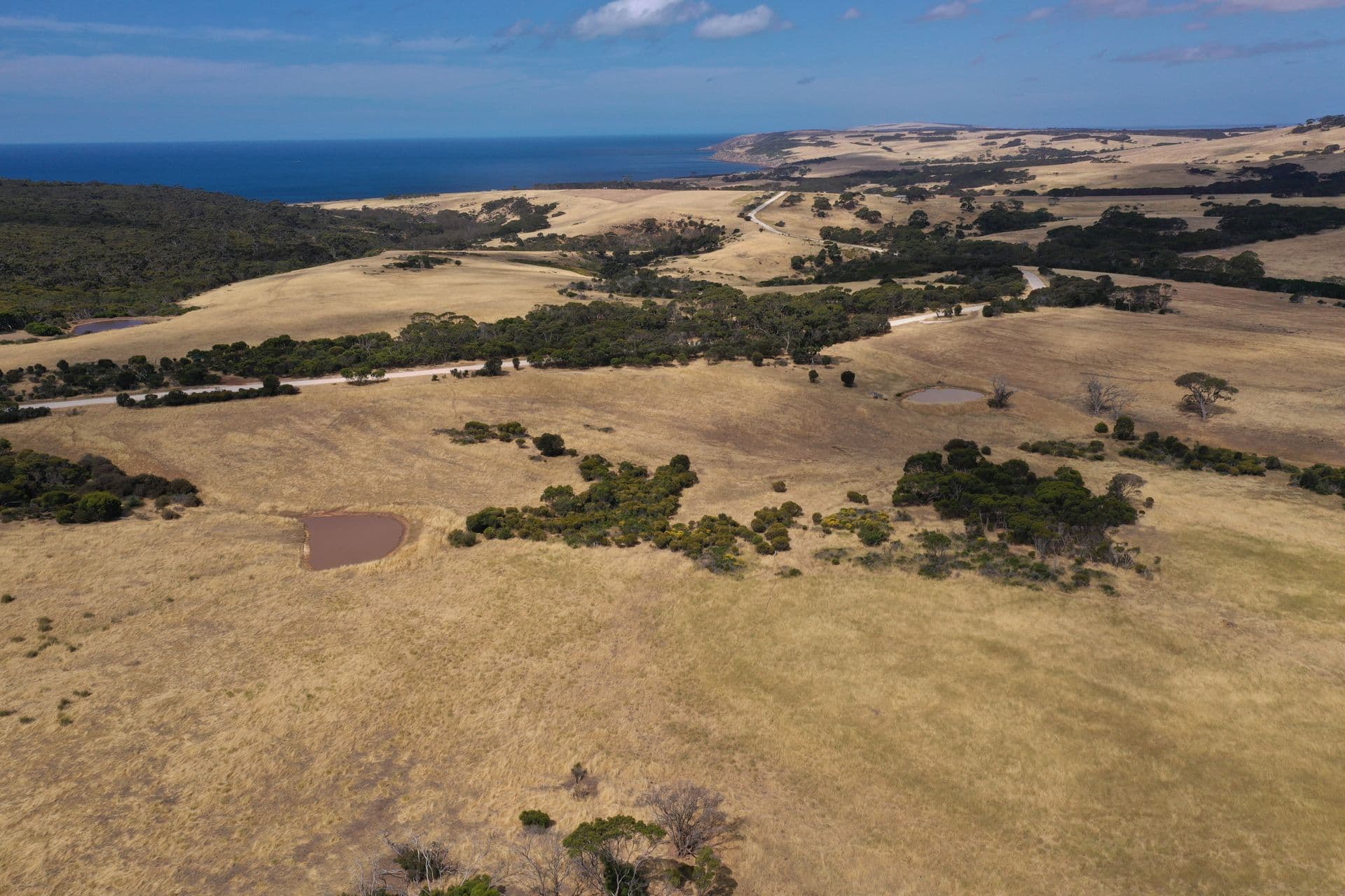 Lot 2 North Coast Road, Menzies, SA, 5223, Menzies - Thumbnail 7