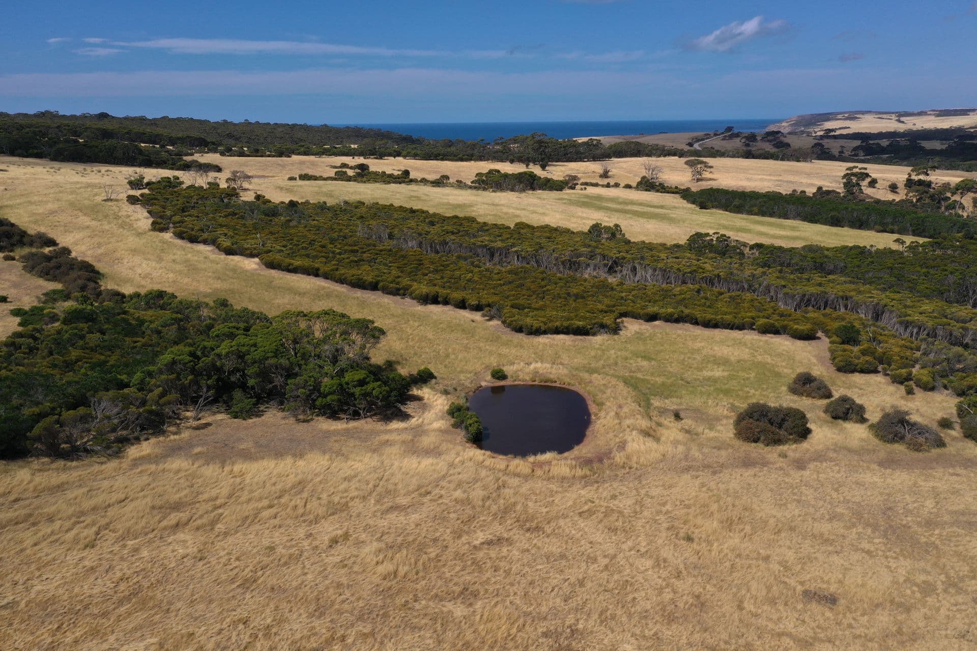 Lot 2 North Coast Road, Menzies, SA, 5223, Menzies - Thumbnail 5