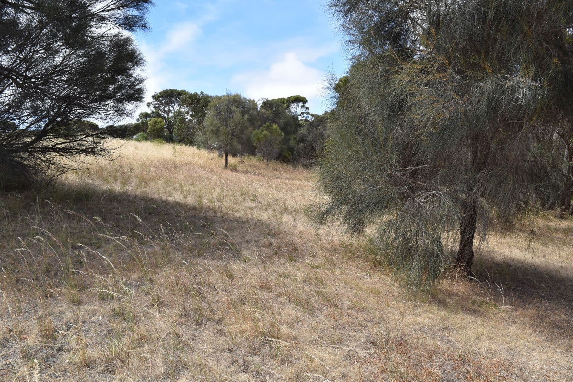 557 Thomas Road, American River, SA, 5221, American River - Thumbnail 7