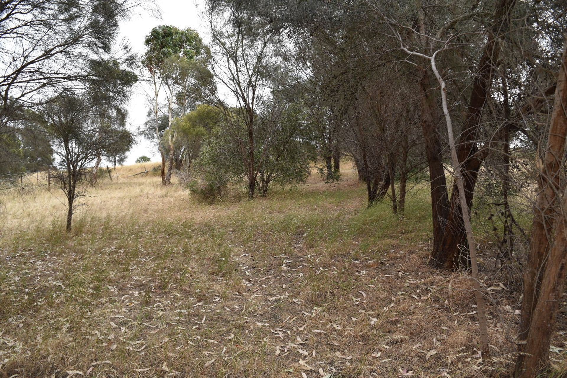 5 Longview Road, American River, SA, 5221, American River - Thumbnail 5