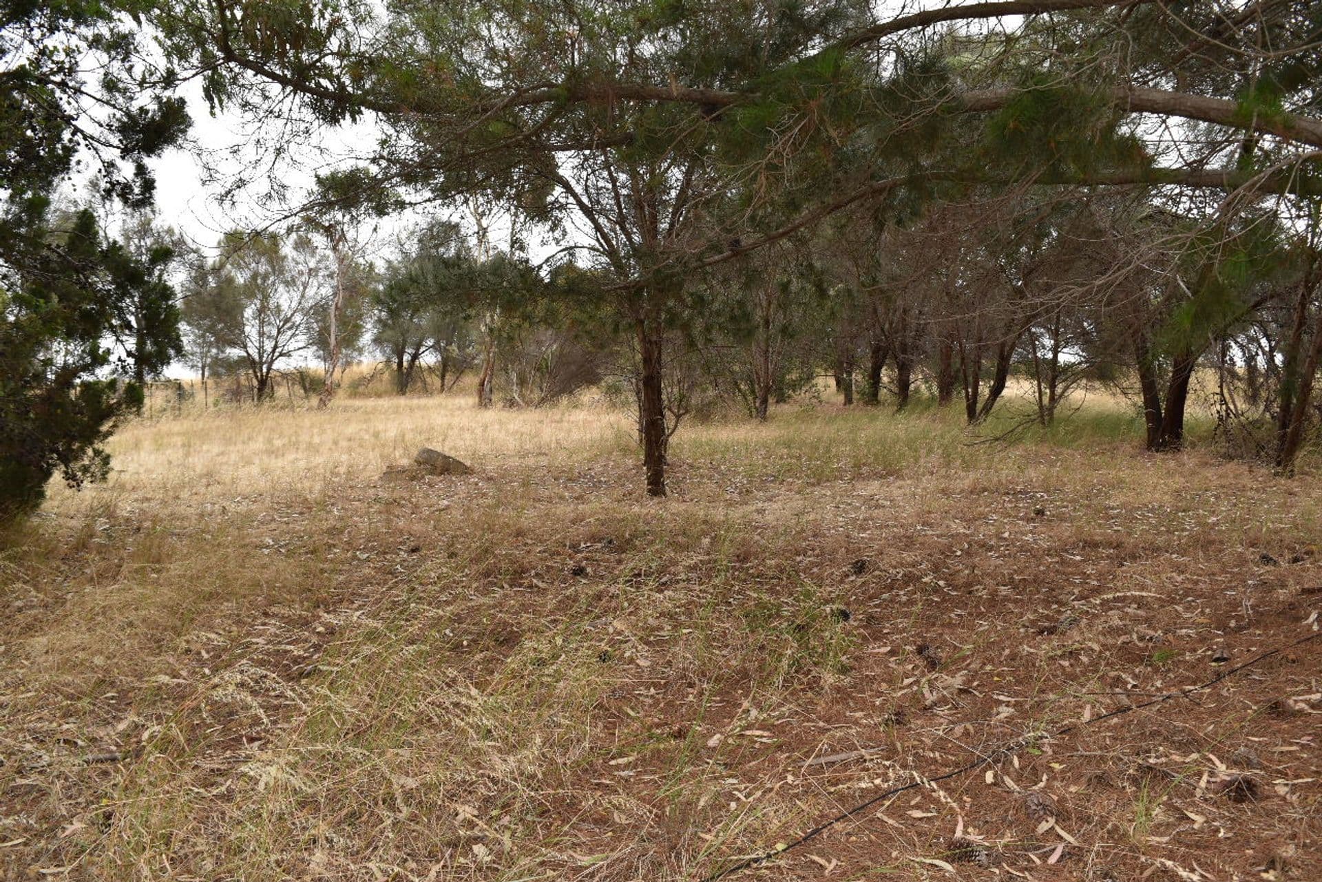 5 Longview Road, American River, SA, 5221, American River - Thumbnail 6