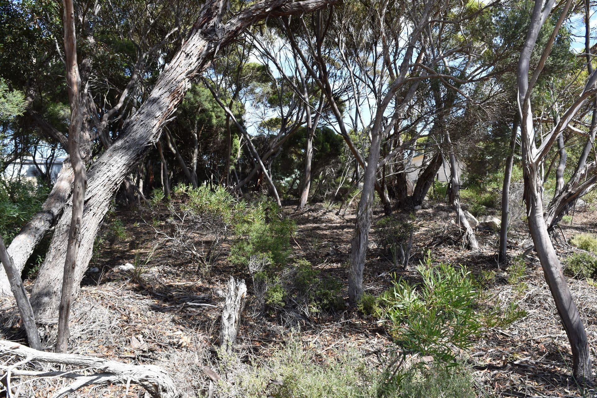2 Torrens Street, Kingscote, SA, 5223, Kingscote - Thumbnail 8