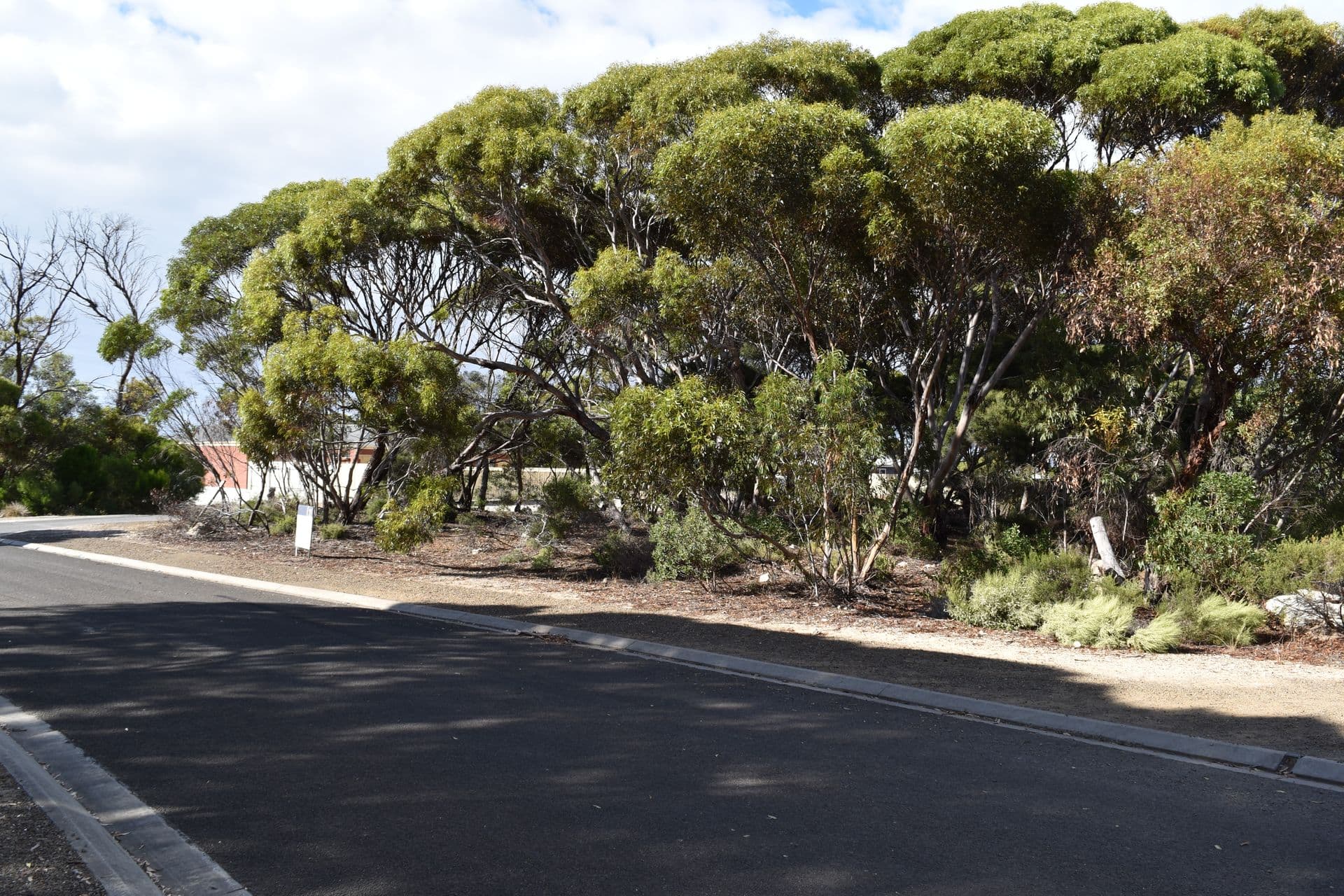 2 Torrens Street, Kingscote, SA, 5223, Kingscote - Thumbnail 2