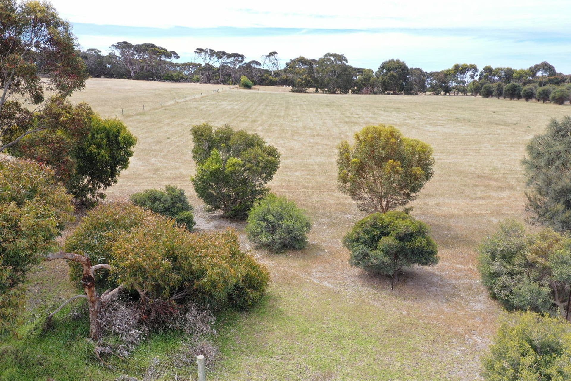 Lot 77 Shoal Bay Ridge, Kingscote, SA, 5223, Kingscote - Thumbnail 4