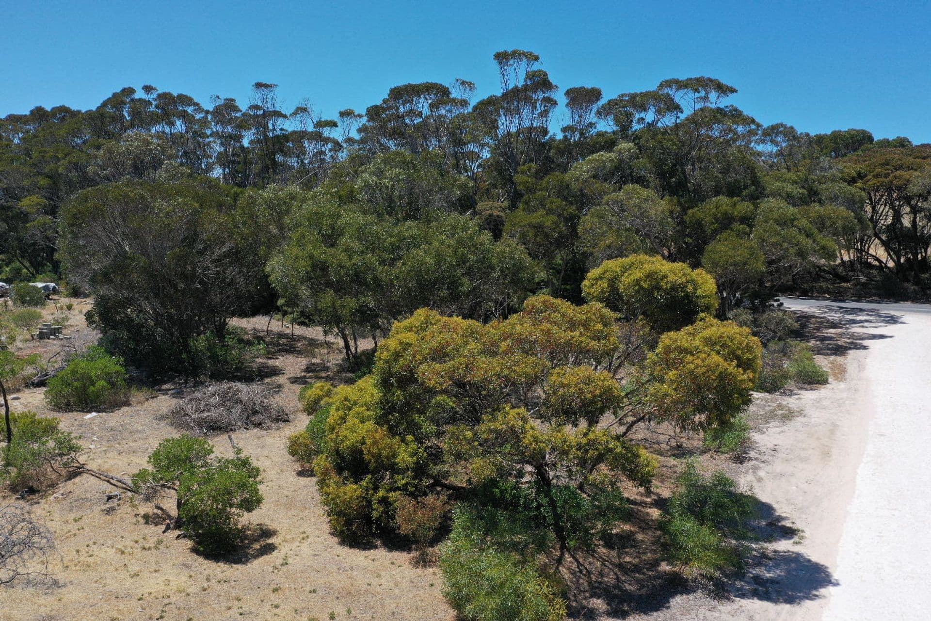 31 Hog Bay Road, Baudin Beach, SA, 5222, Baudin Beach - Thumbnail 6