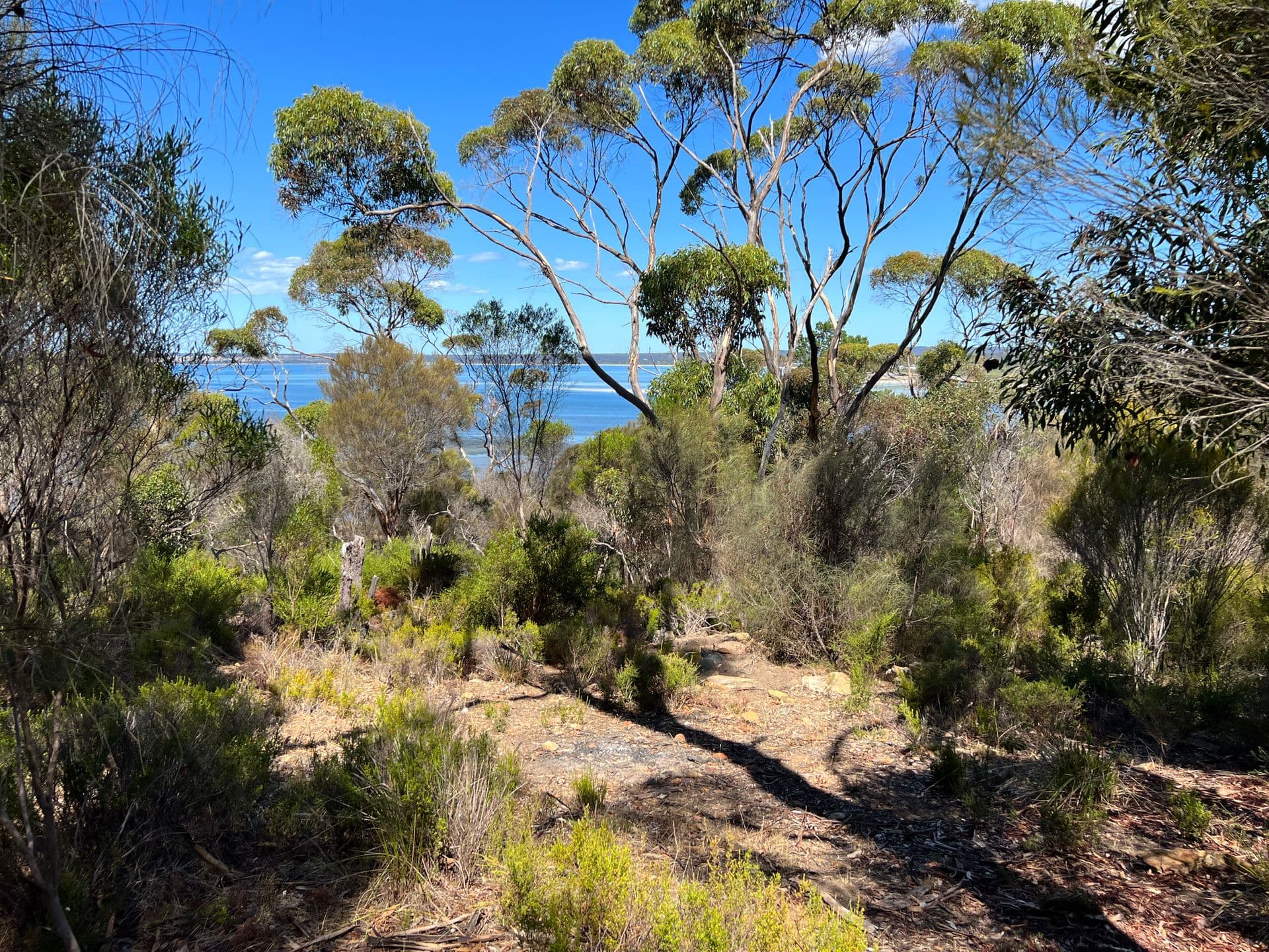 52 Bayview Road, American River, SA, 5221, American River - Thumbnail 3