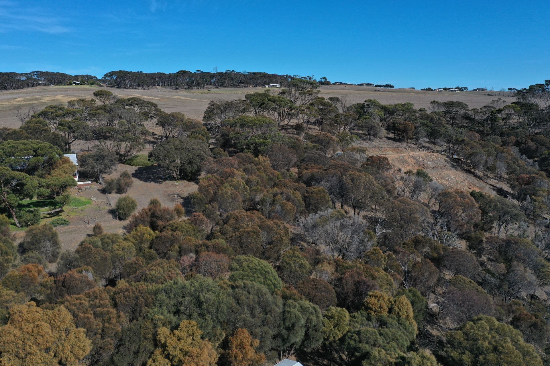 54 Wright Road, Penneshaw, SA, 5222, Penneshaw - Thumbnail 3