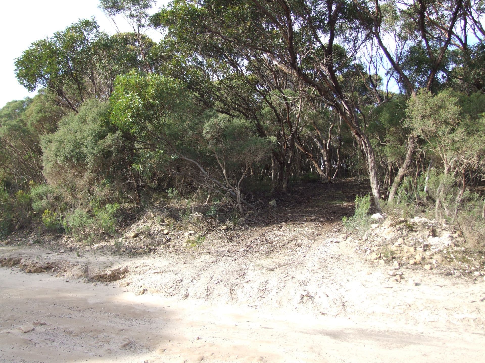 7 Bayview Road, Vivonne Bay, SA, 5223, Vivonne Bay - Thumbnail 3