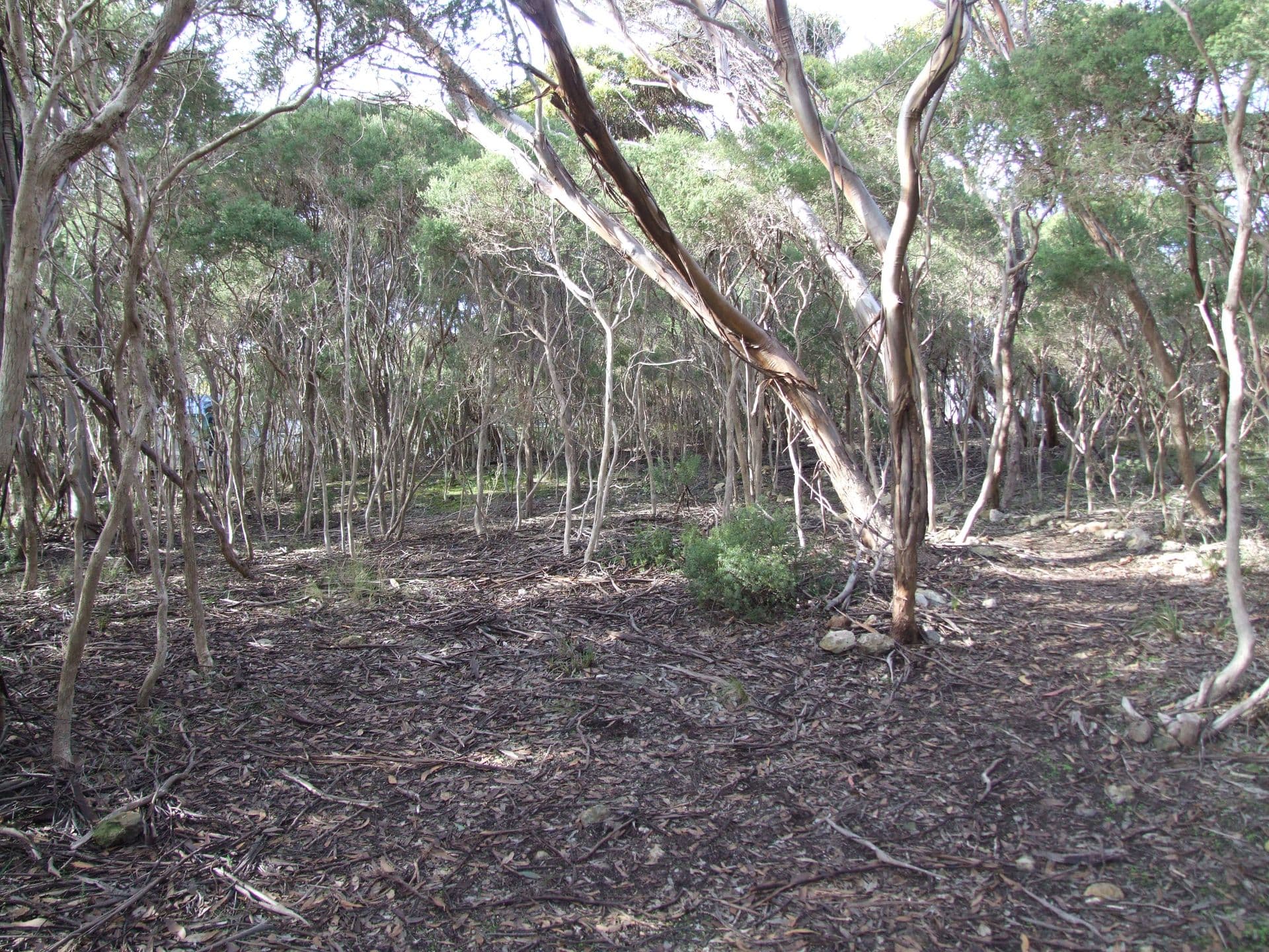 7 Bayview Road, Vivonne Bay, SA, 5223, Vivonne Bay - Thumbnail 4
