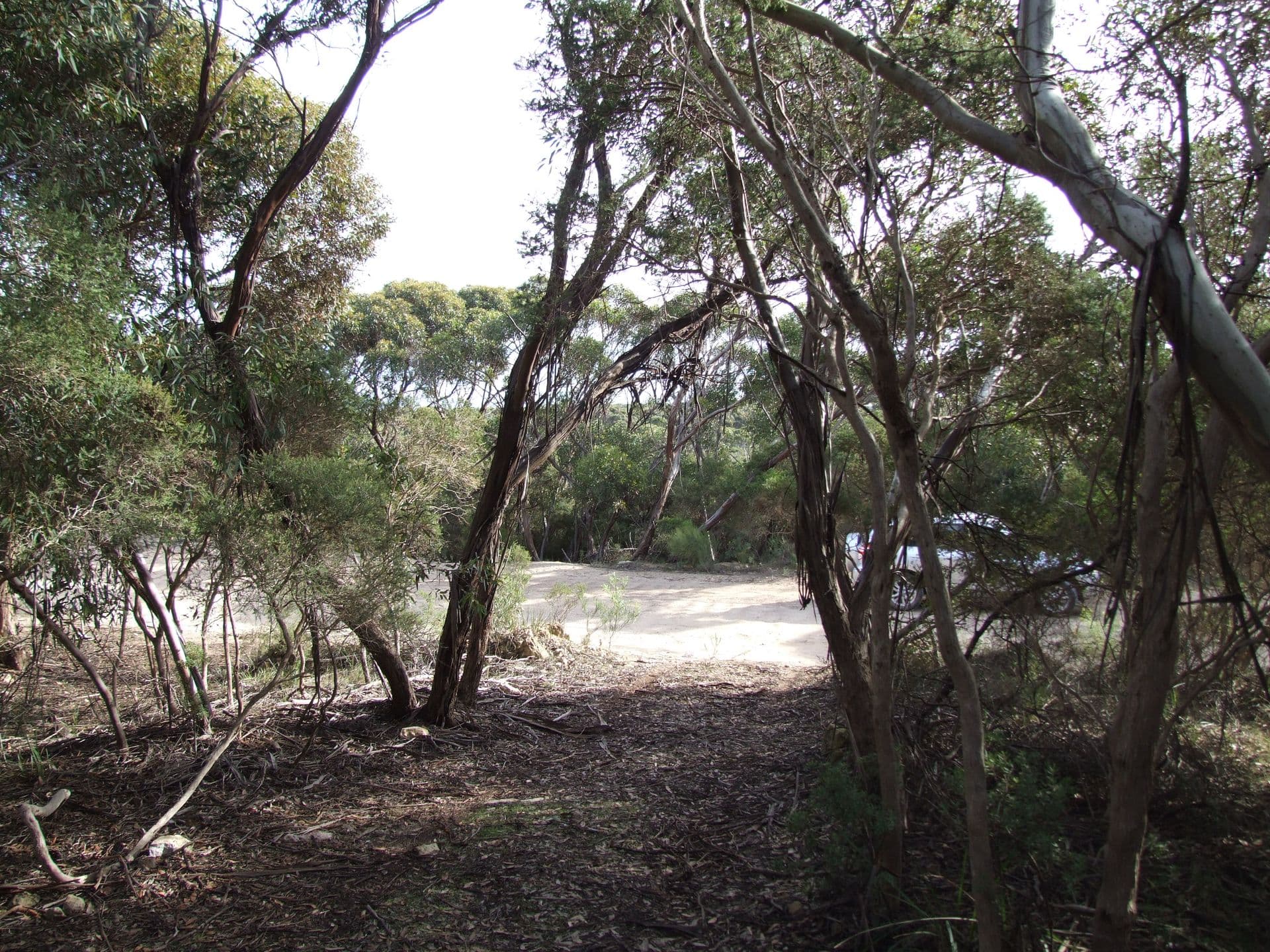 7 Bayview Road, Vivonne Bay, SA, 5223, Vivonne Bay - Thumbnail 5