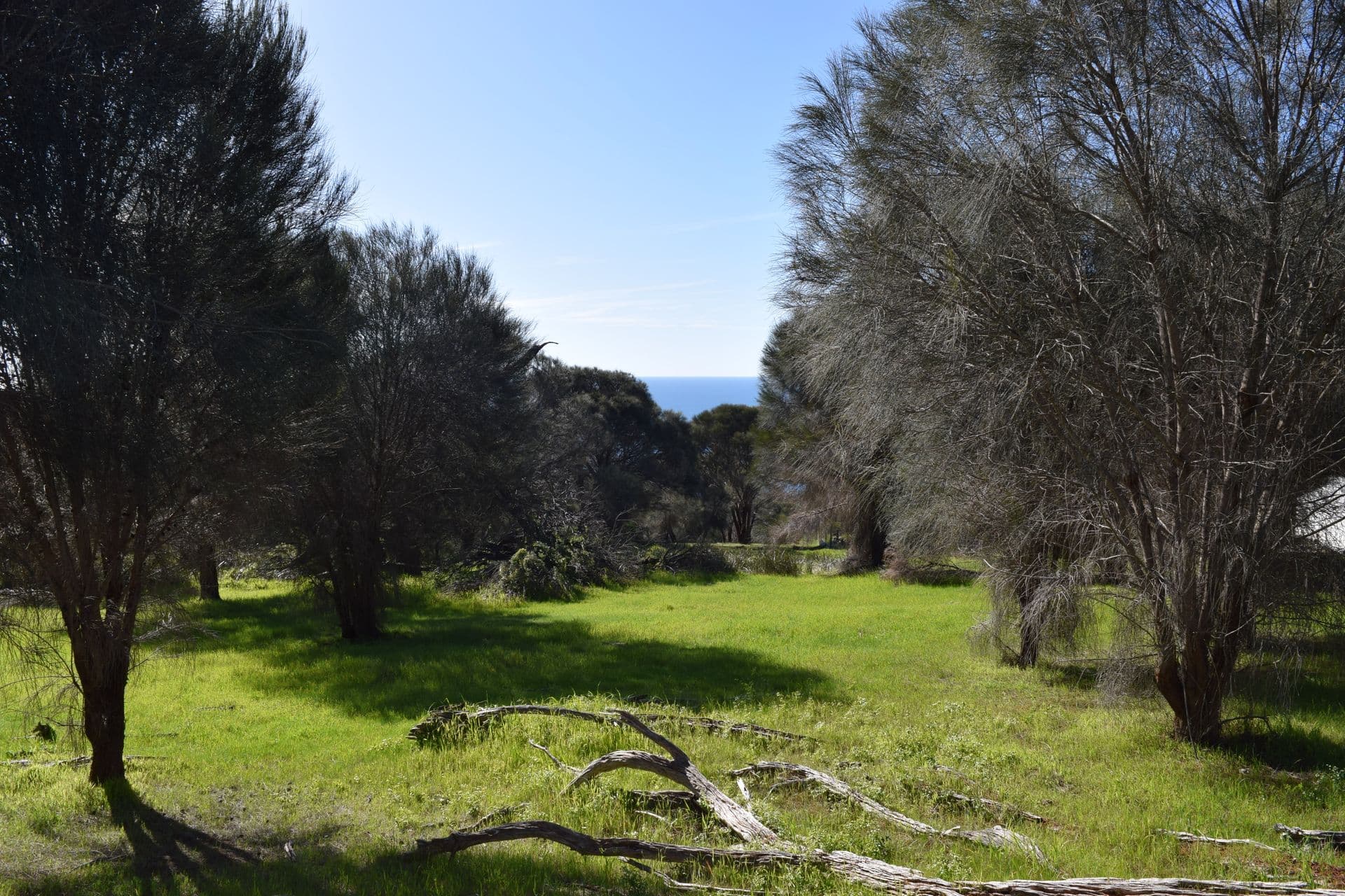 12 Fernande Court, Penneshaw, SA, 5222, Penneshaw - Thumbnail 7
