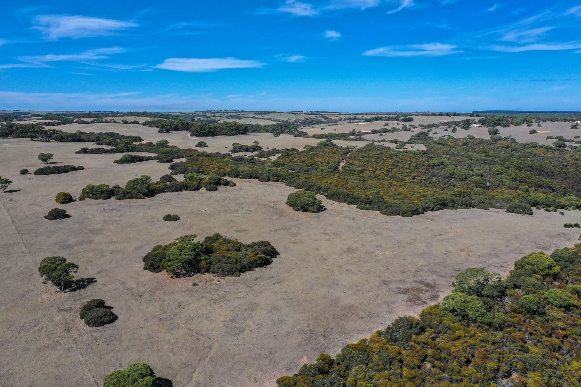 Lot 3 North Coast Road, Cassini, SA, 5223, Cassini - Thumbnail 6