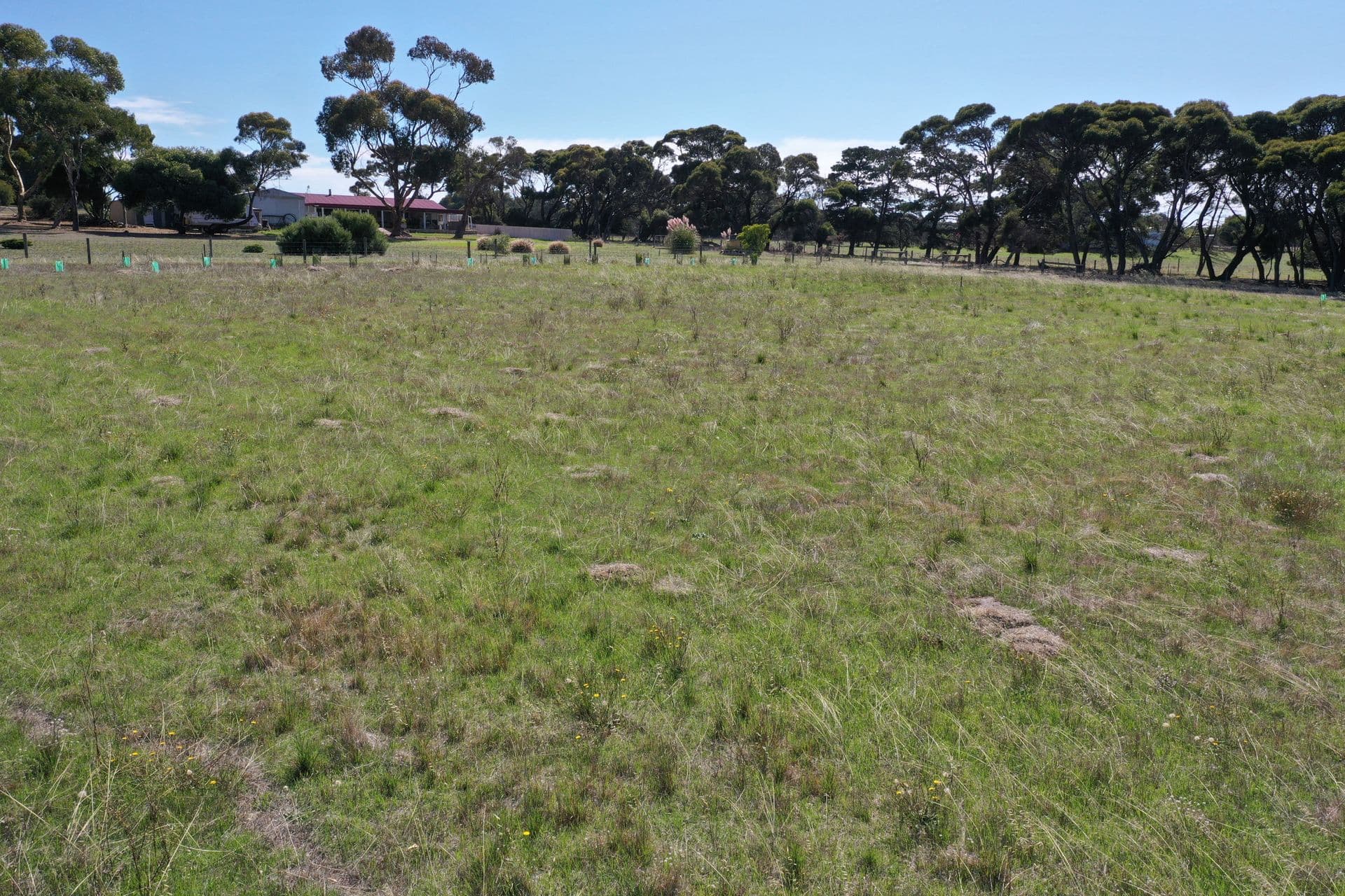Lot 4 Haney Road, Brownlow Ki, SA, 5223, Brownlow Ki - Thumbnail 4